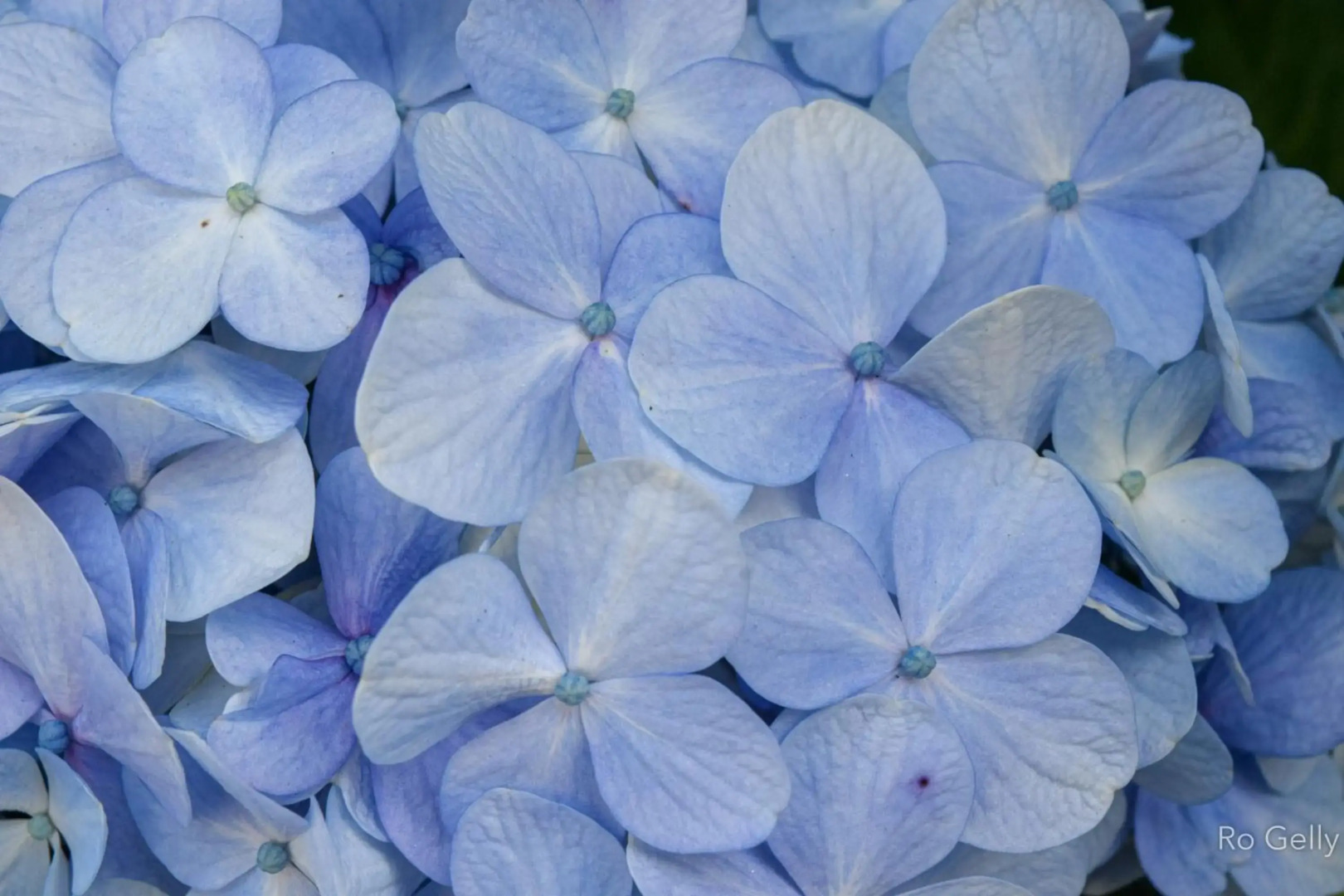 Rancho Pedra do Picú