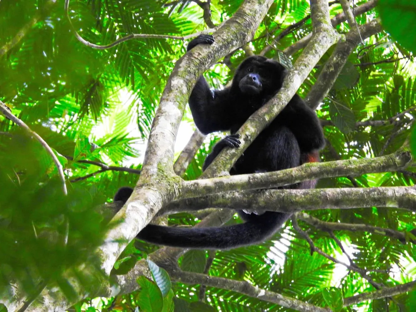 Hotel Boutique Casa Del Rio