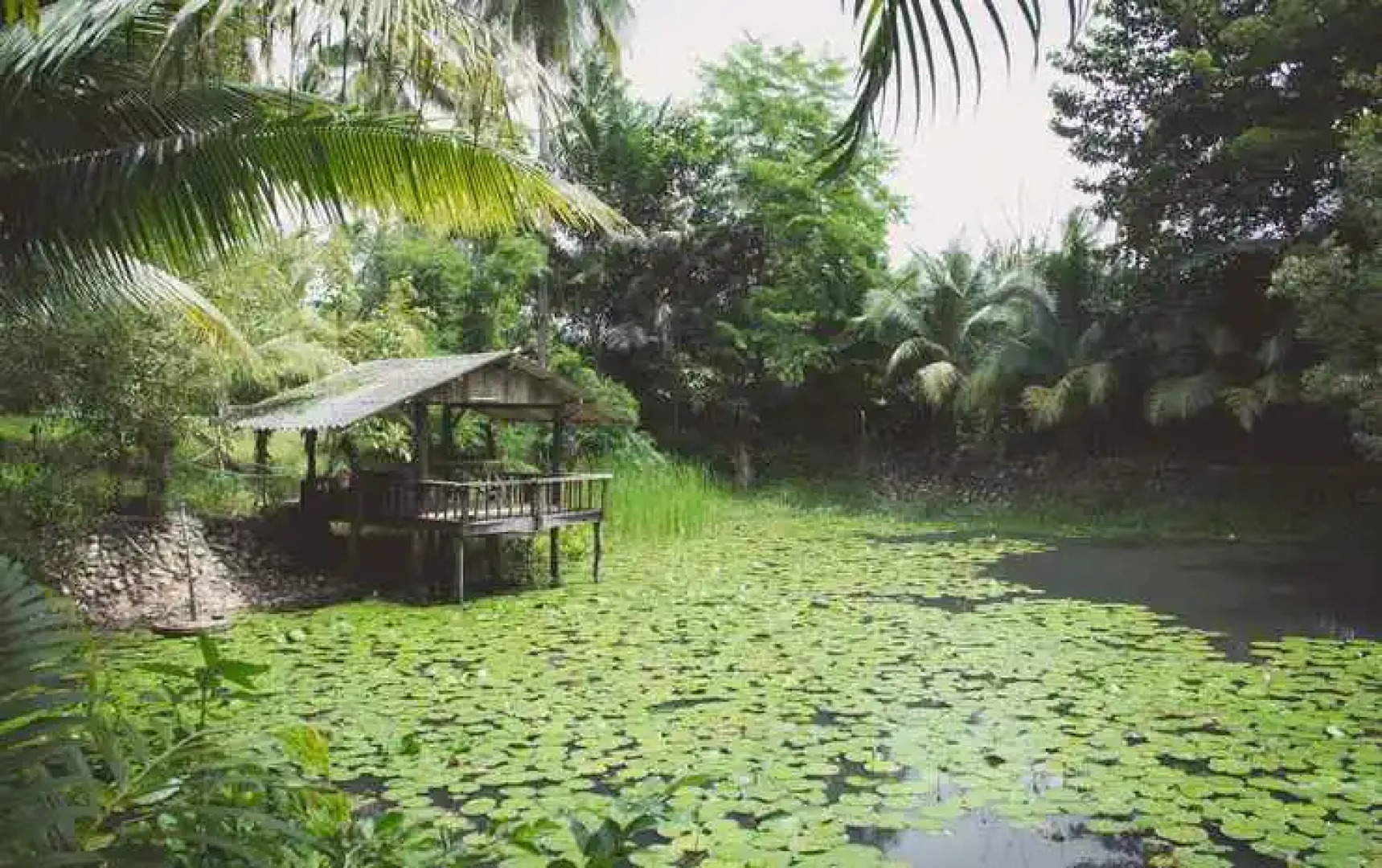 Coconut Garden Bungalow