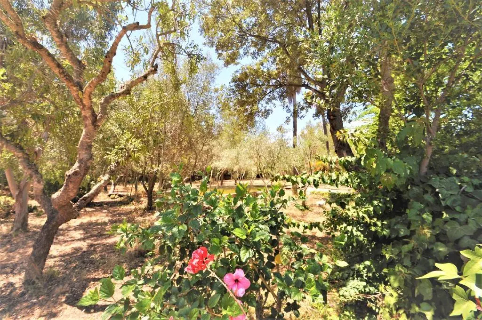 SA ROTA Finca en Bunyola 8 personas- Muy tranquilo