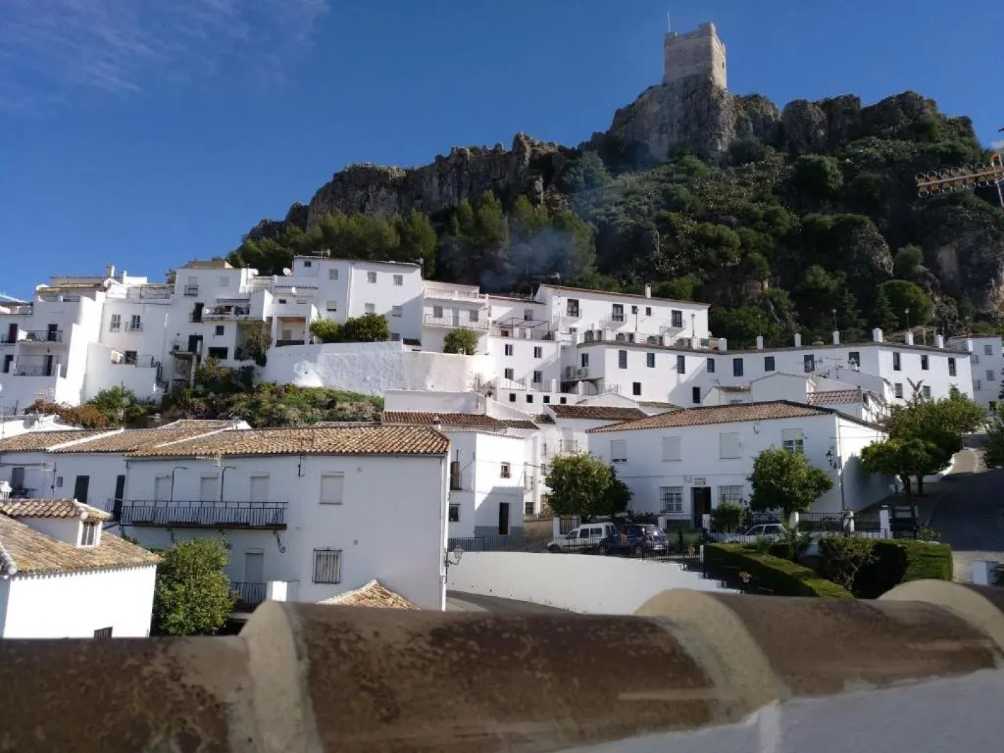 Alojamiento Rural El Pinsapo