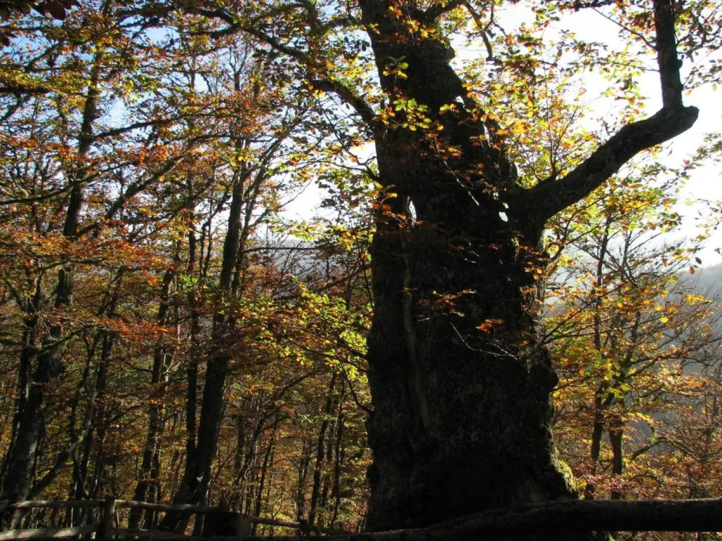 Hotel Rural la Plaza