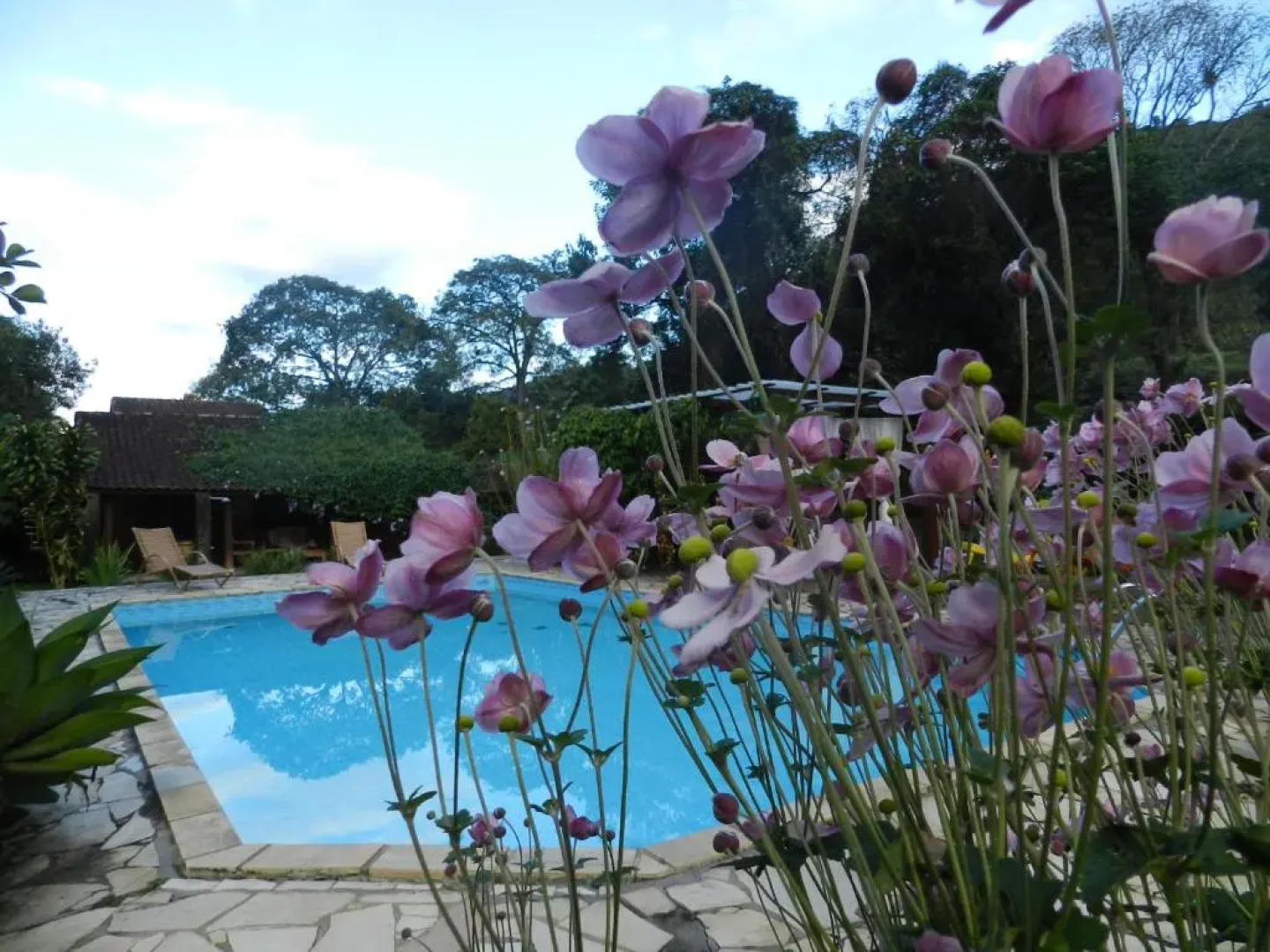 Pousada Recanto do Pinheirão