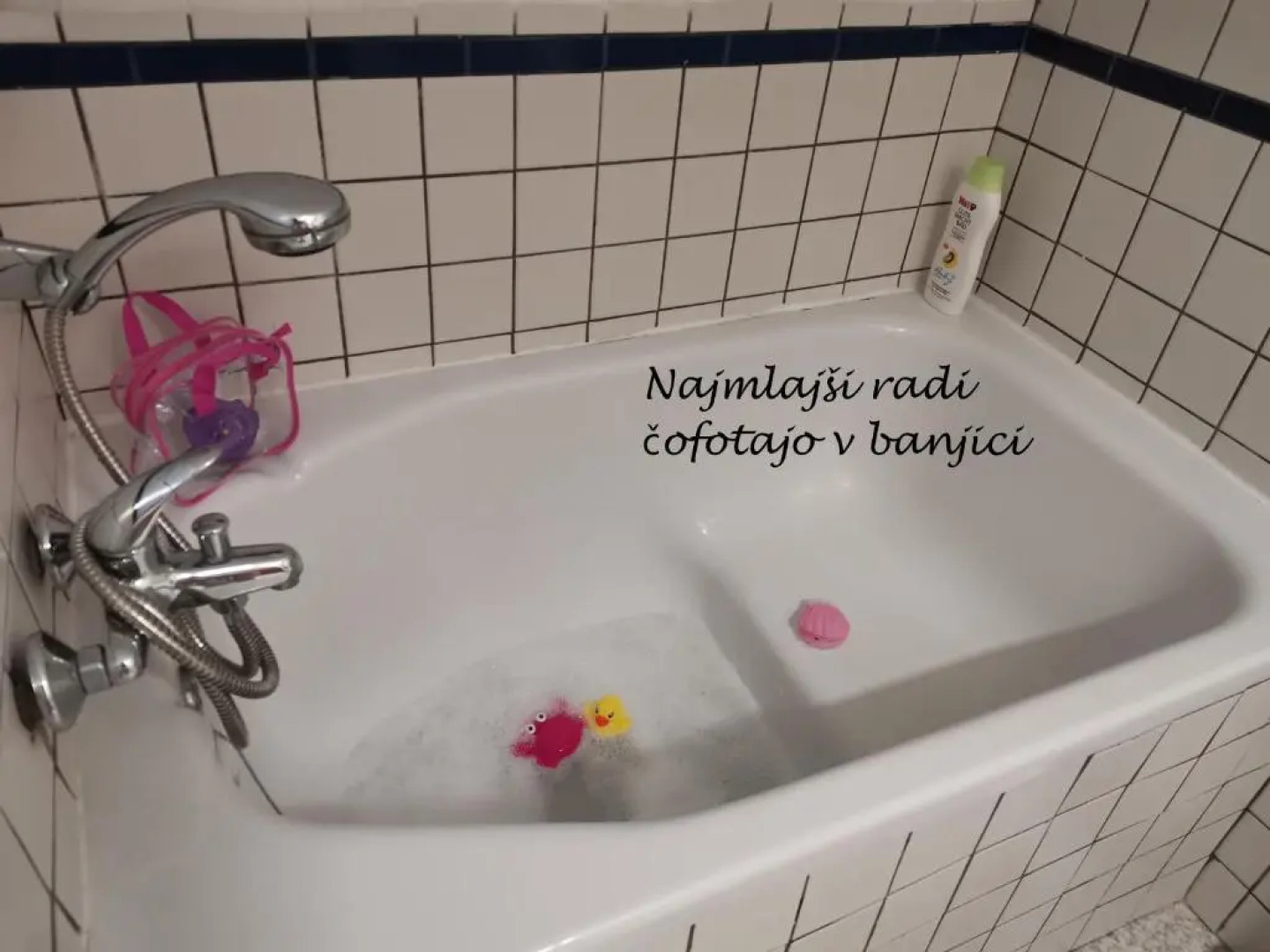 Apartma med vinogradi