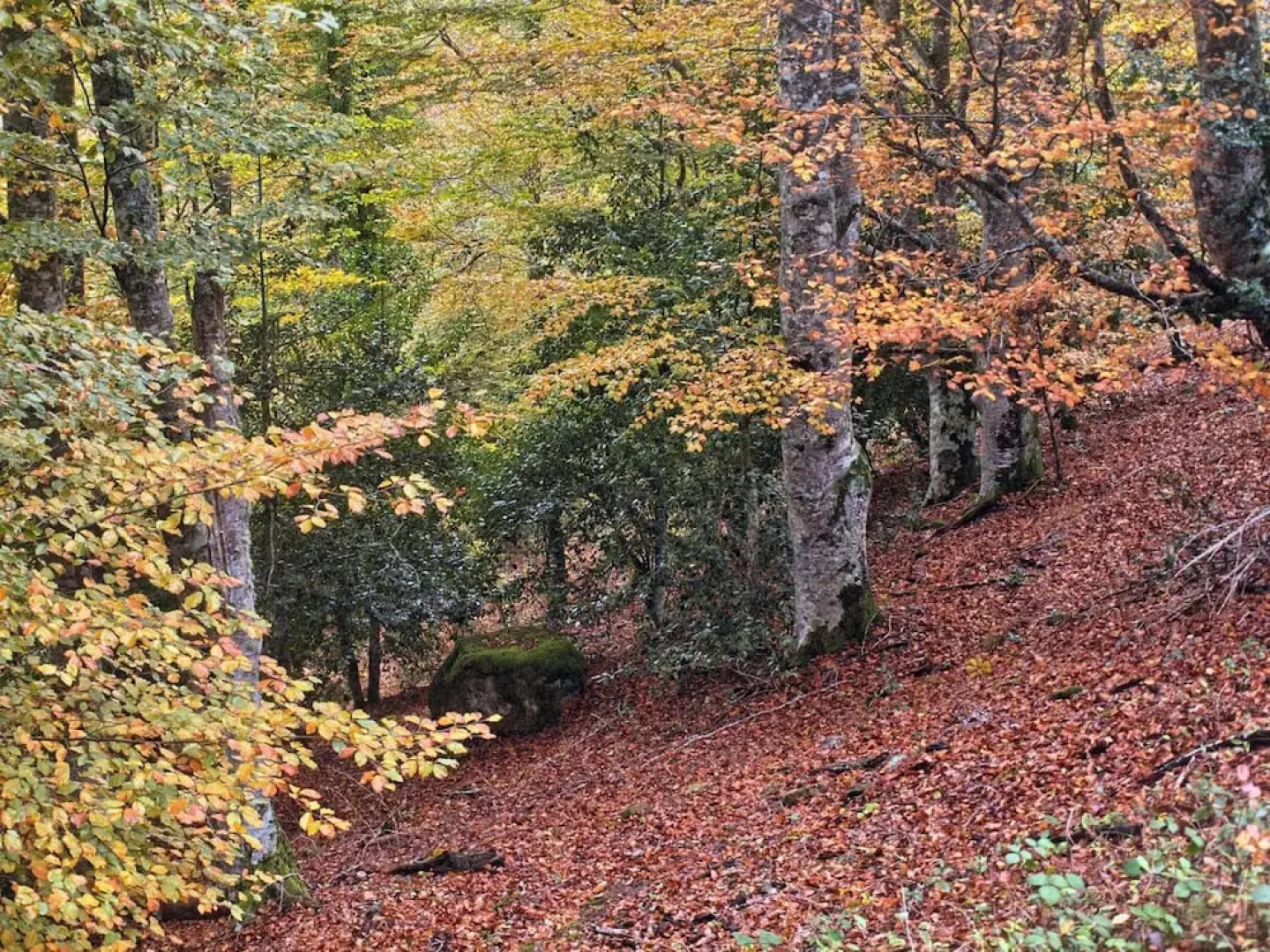 CTR La Coruja del Ebro