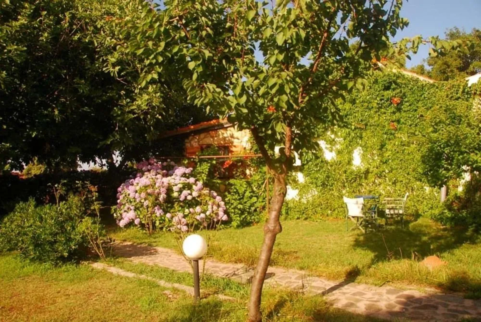 Alekas Studios