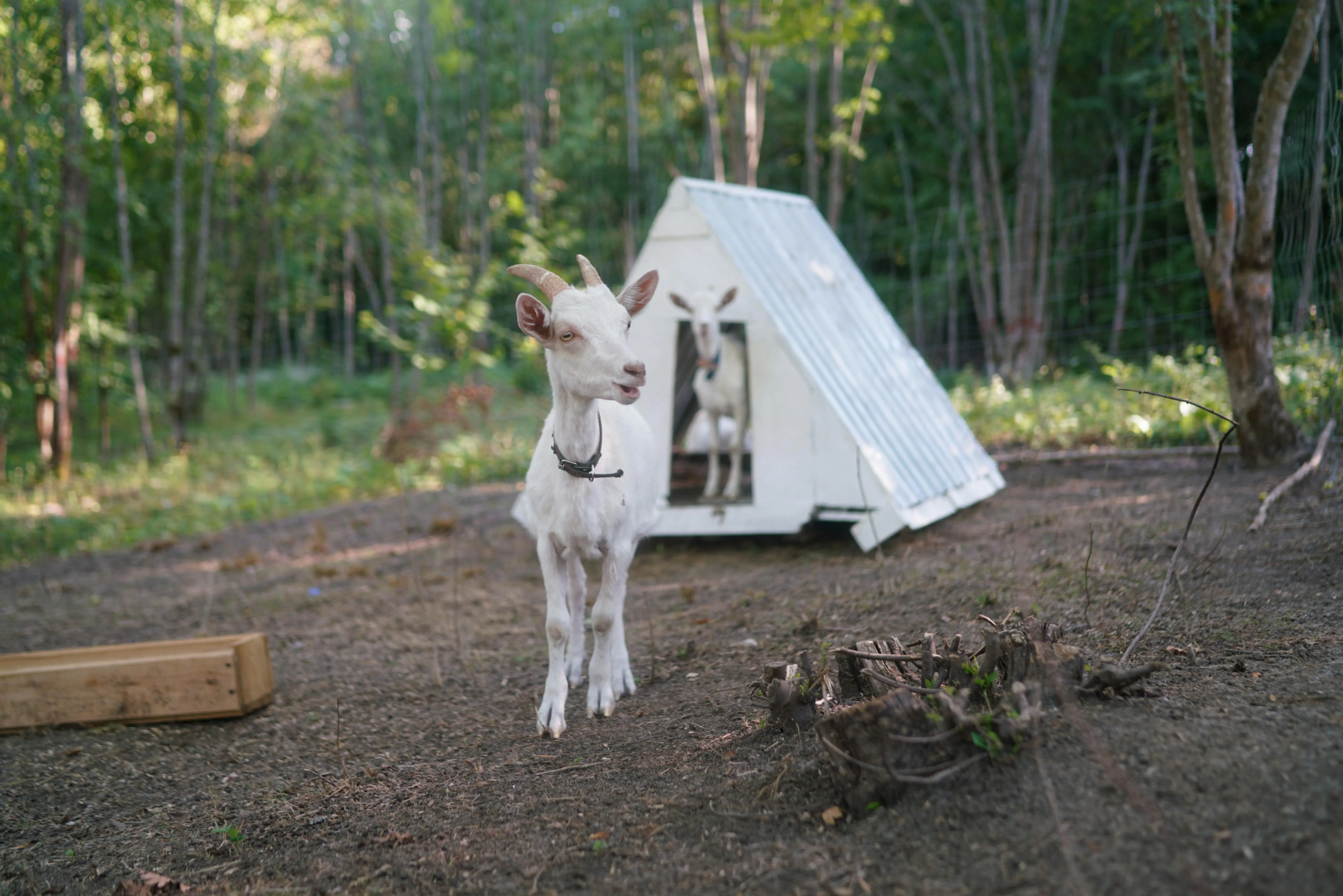 Солнечный склон
