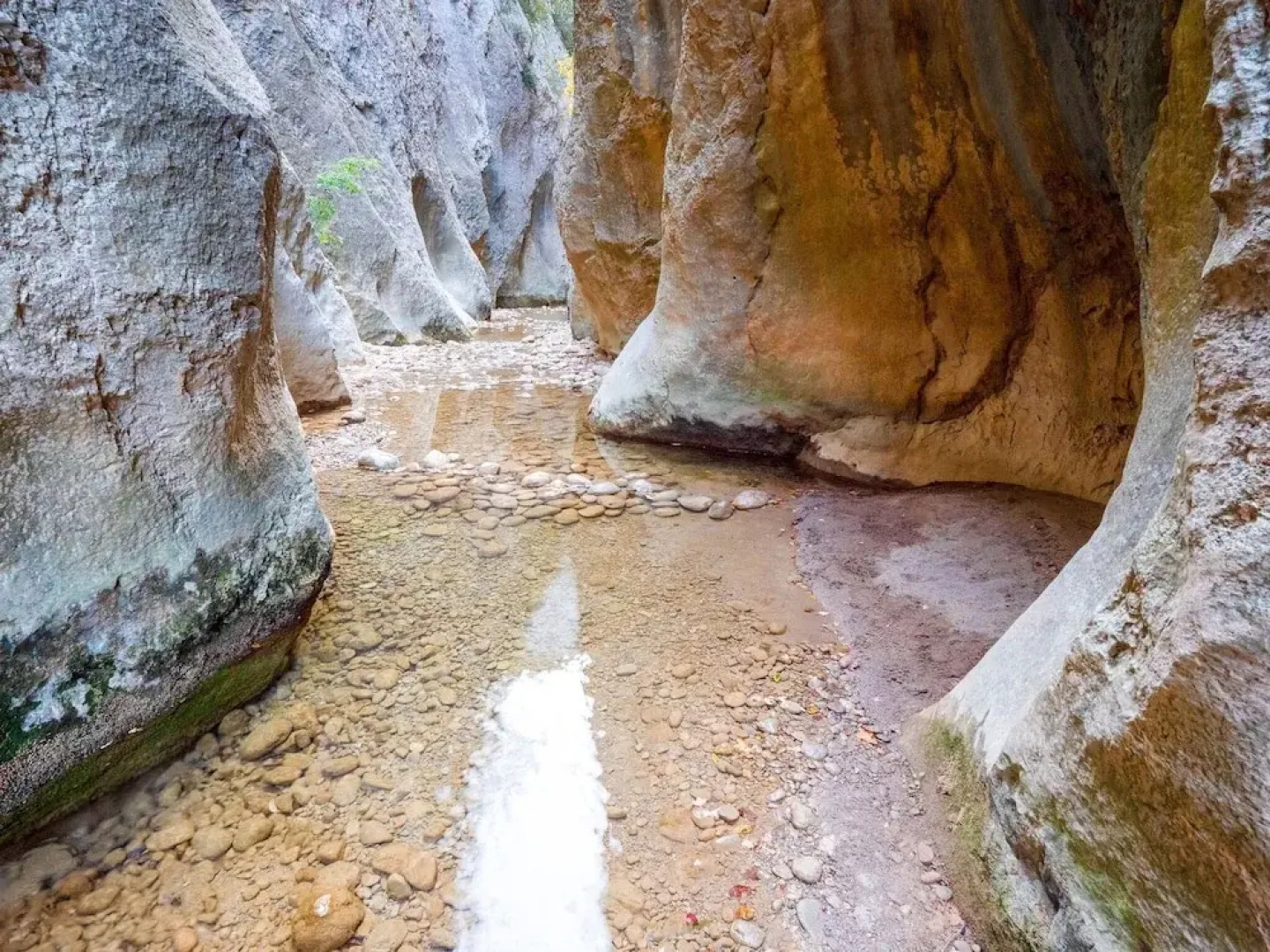 Rustic Holiday Home in Tolva near Mont Rebei Lake