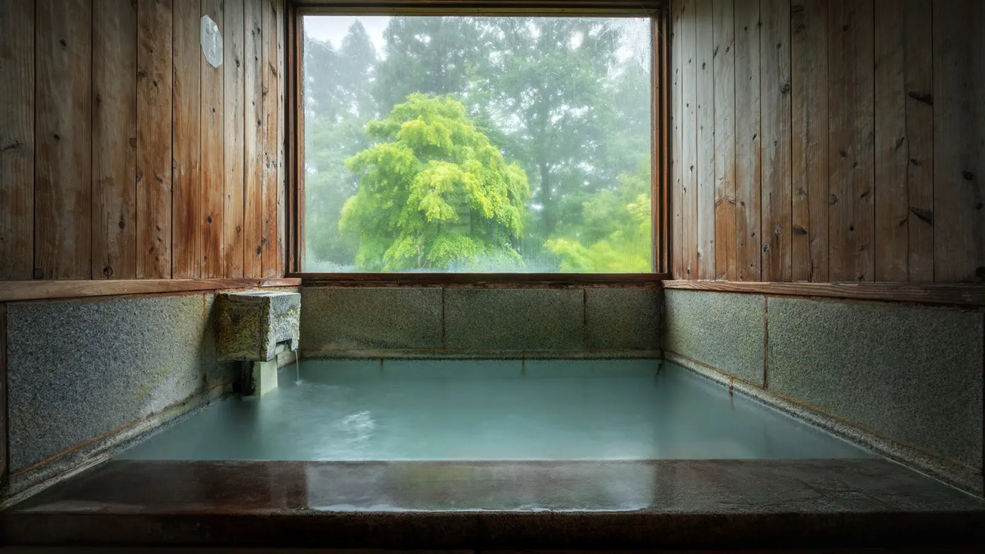 Sakaiya Mori No Hotel Wald Berg