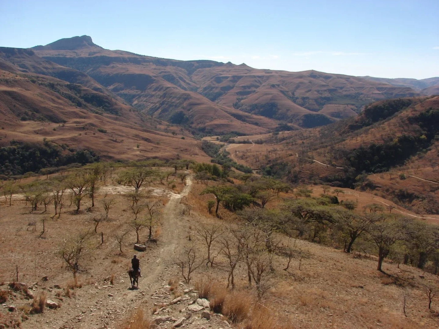 The Homestead Guest House and S-Catering