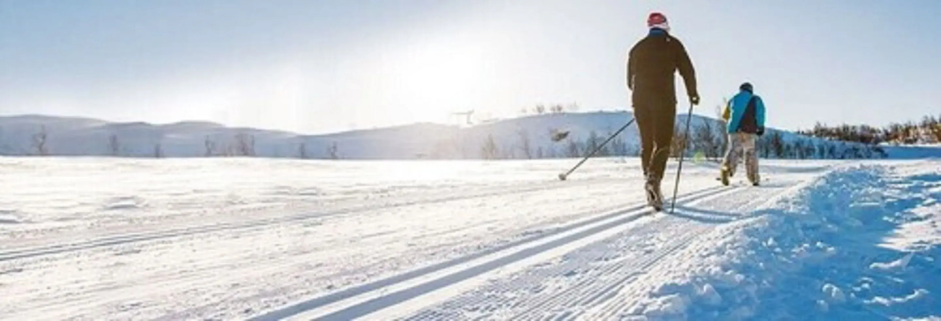 Topcamp Hallingdal - Ål