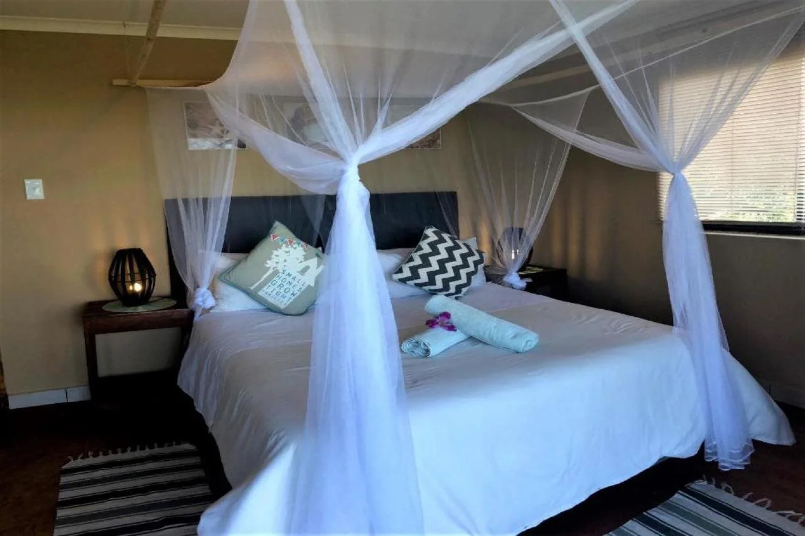 Go Wild Resort