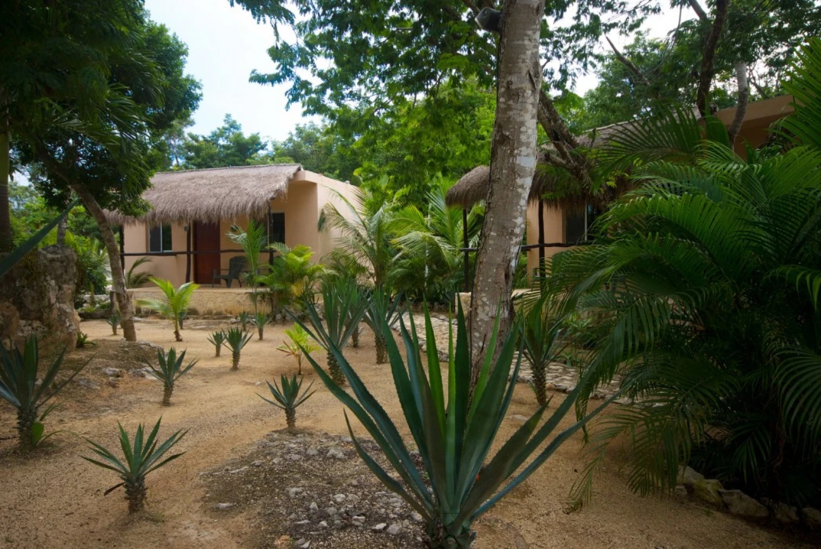 Villa Tortugas Residence