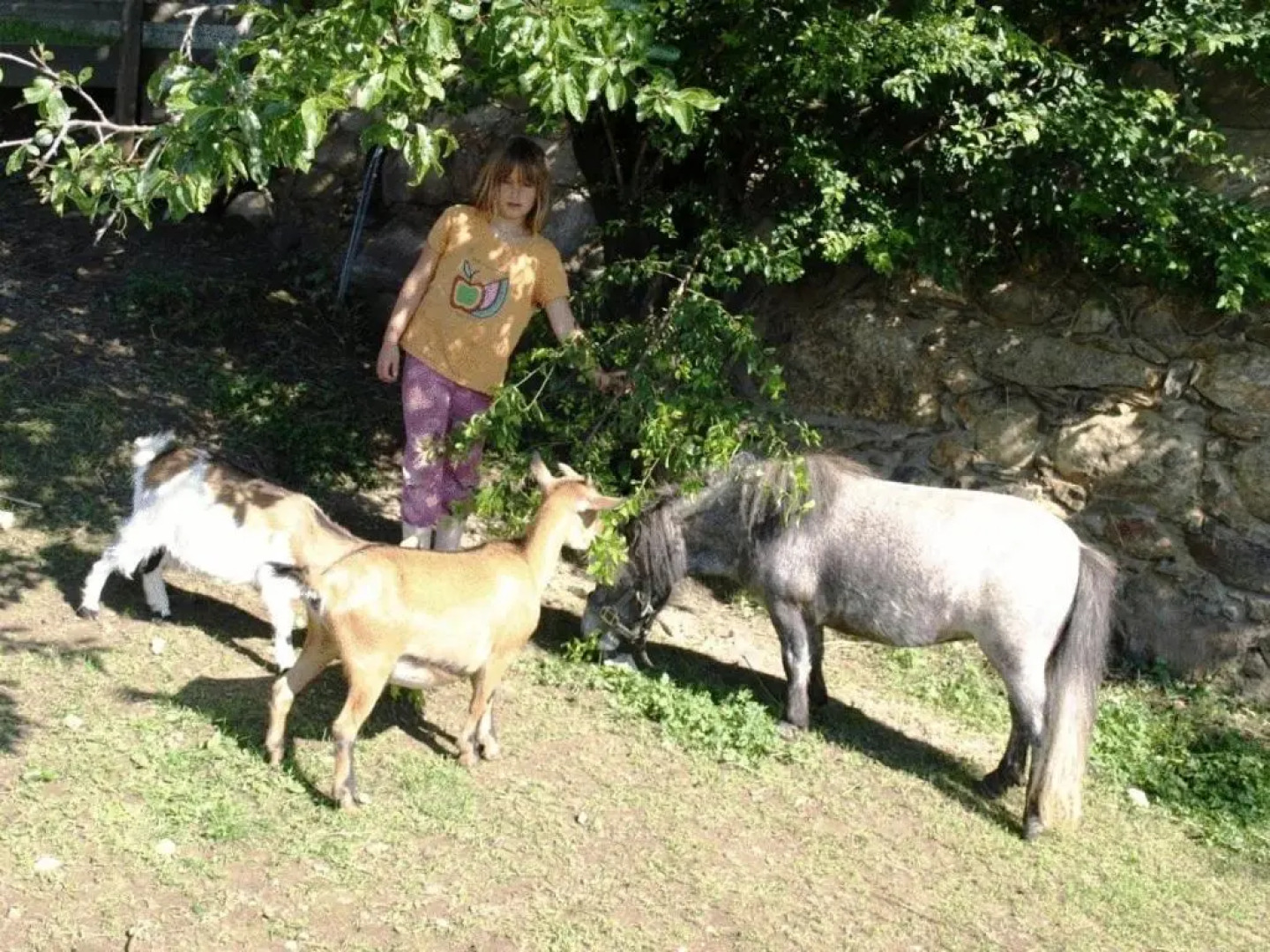 Ferienwohnung am Oberrainerhof