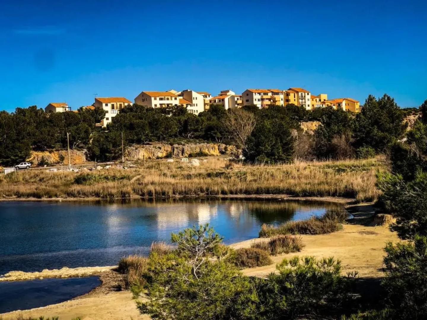appartement st pierre la mer
