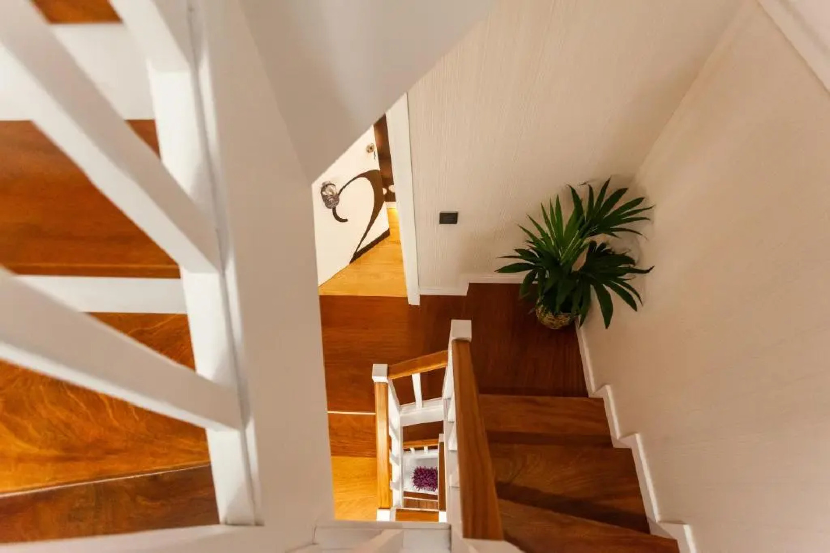 Apartamentos Franja 55