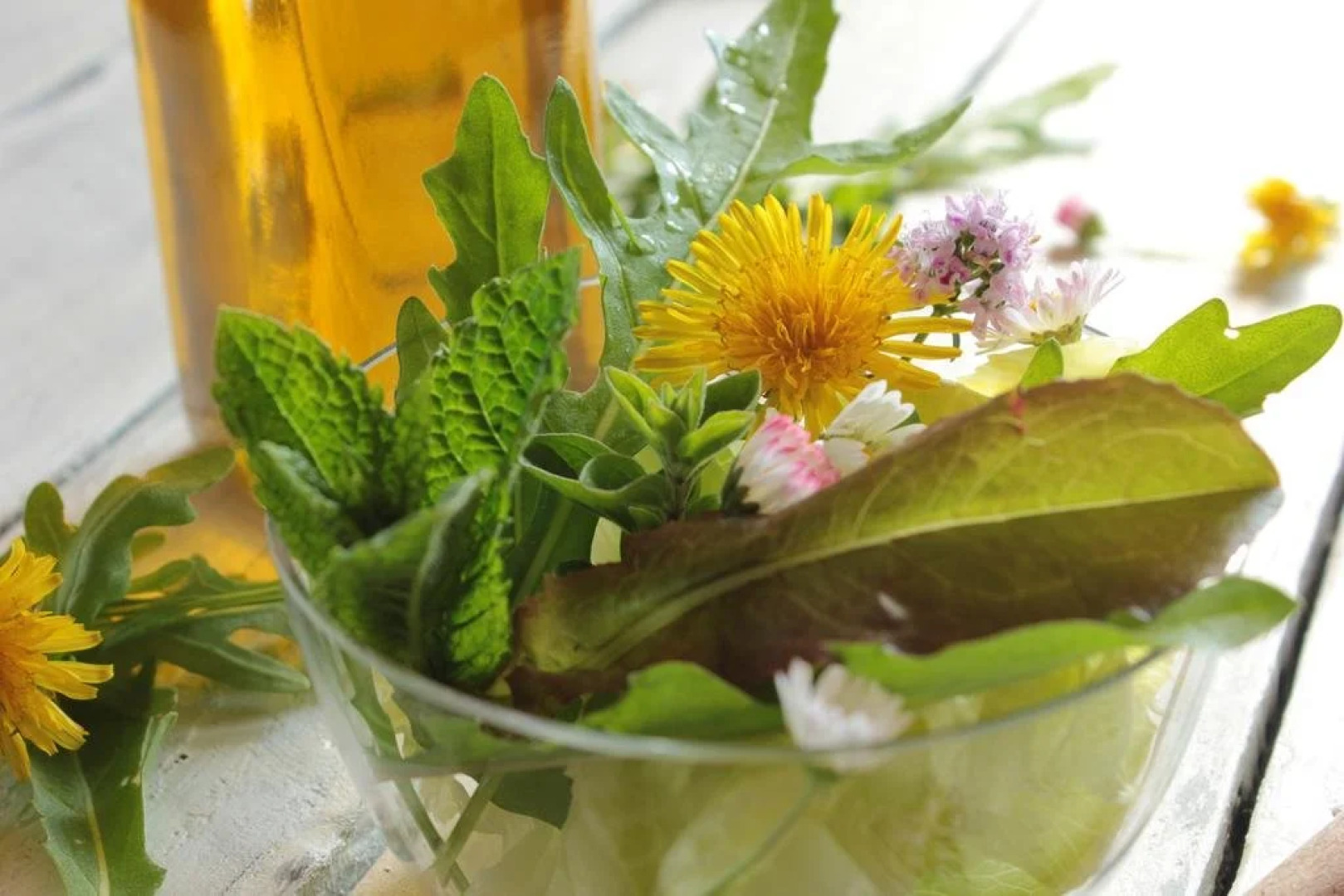 Appartmentanlage Zur Düne