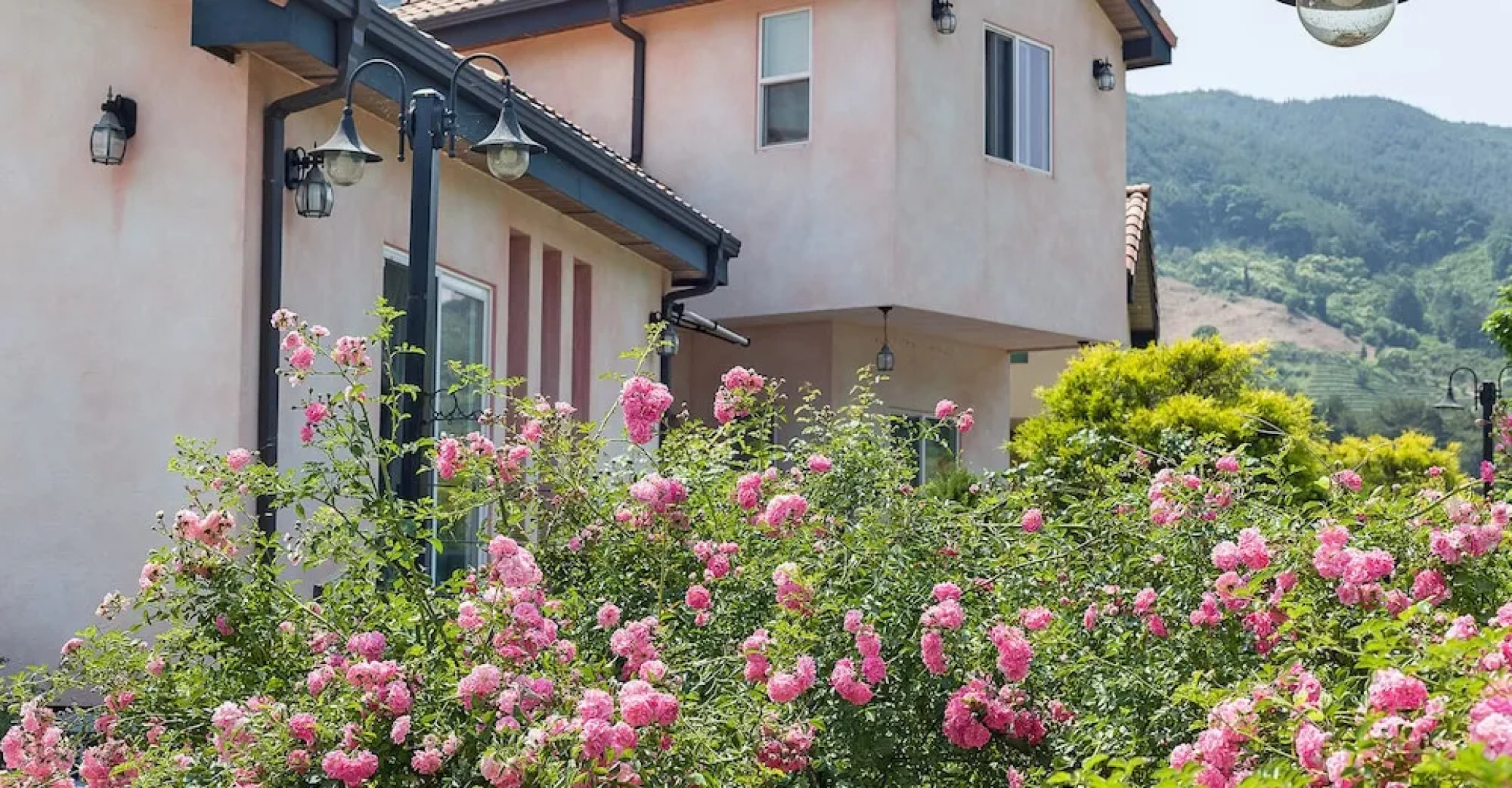 Hadong Olive Pension