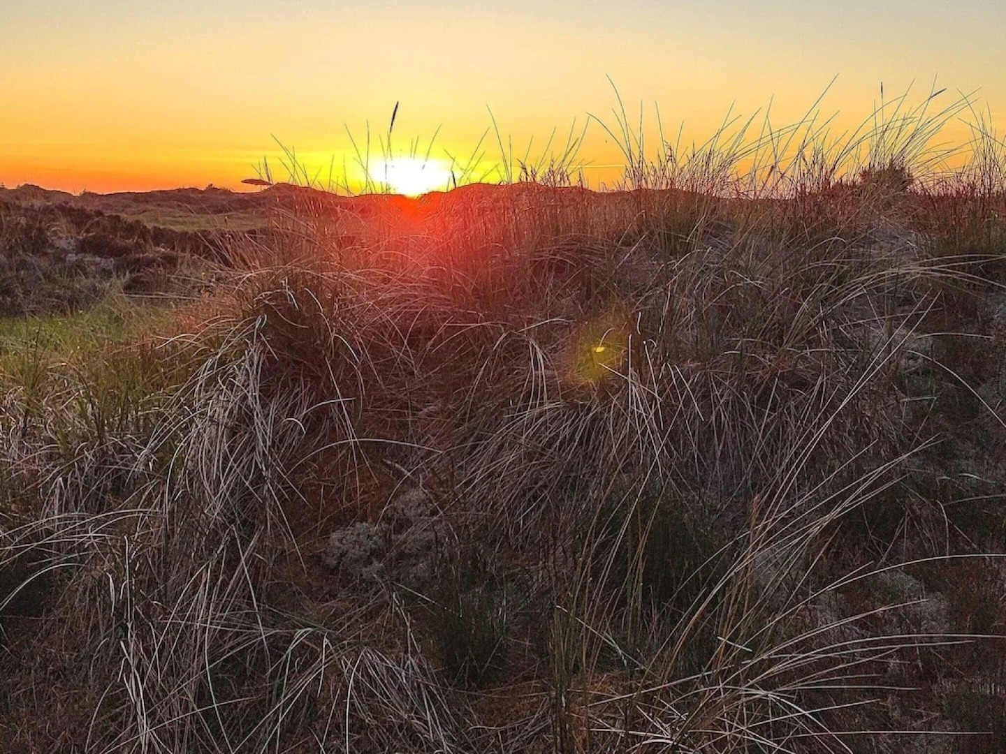 4 Person Holiday Home in Pandrup