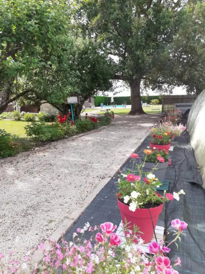 Le CHÊNE AUX OISEAUX