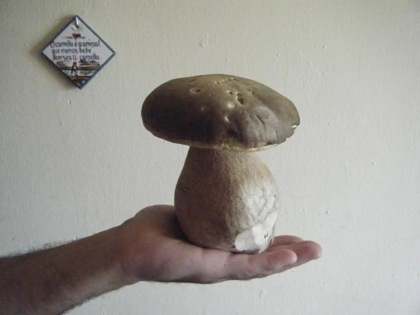 Fonda Restaurant Ca l'Abel