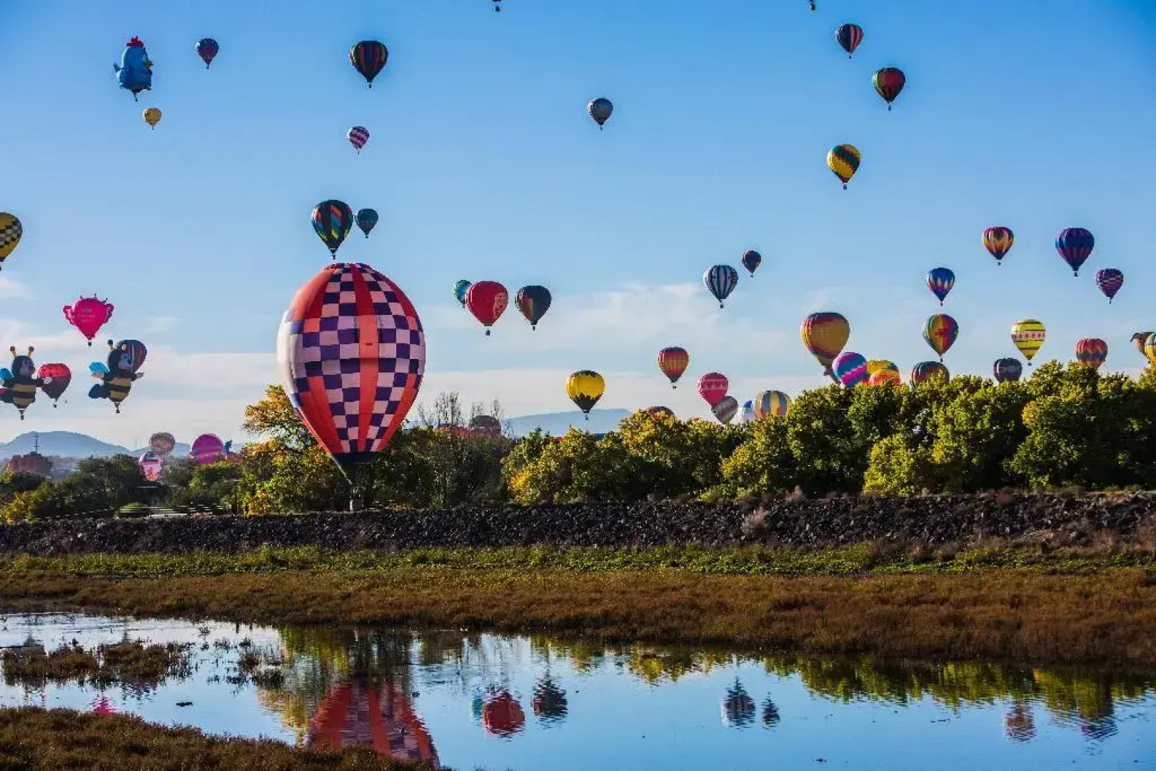 Staybridge Suites North - Albuquerque by IHG