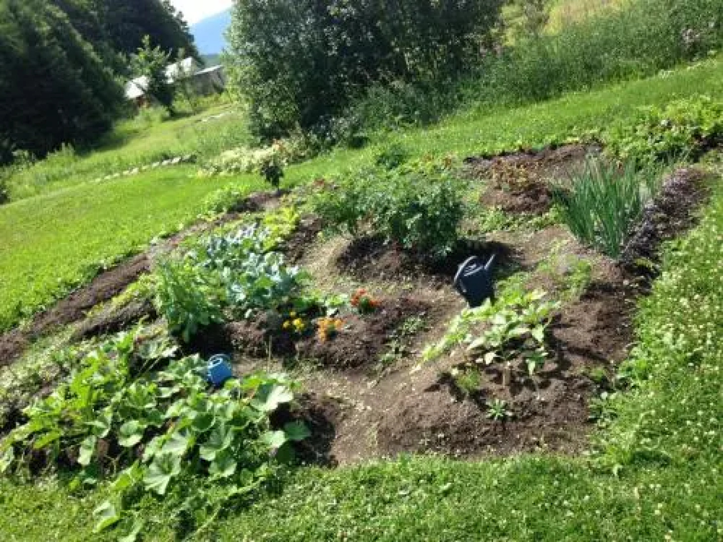 The Rustic House of the Fjord