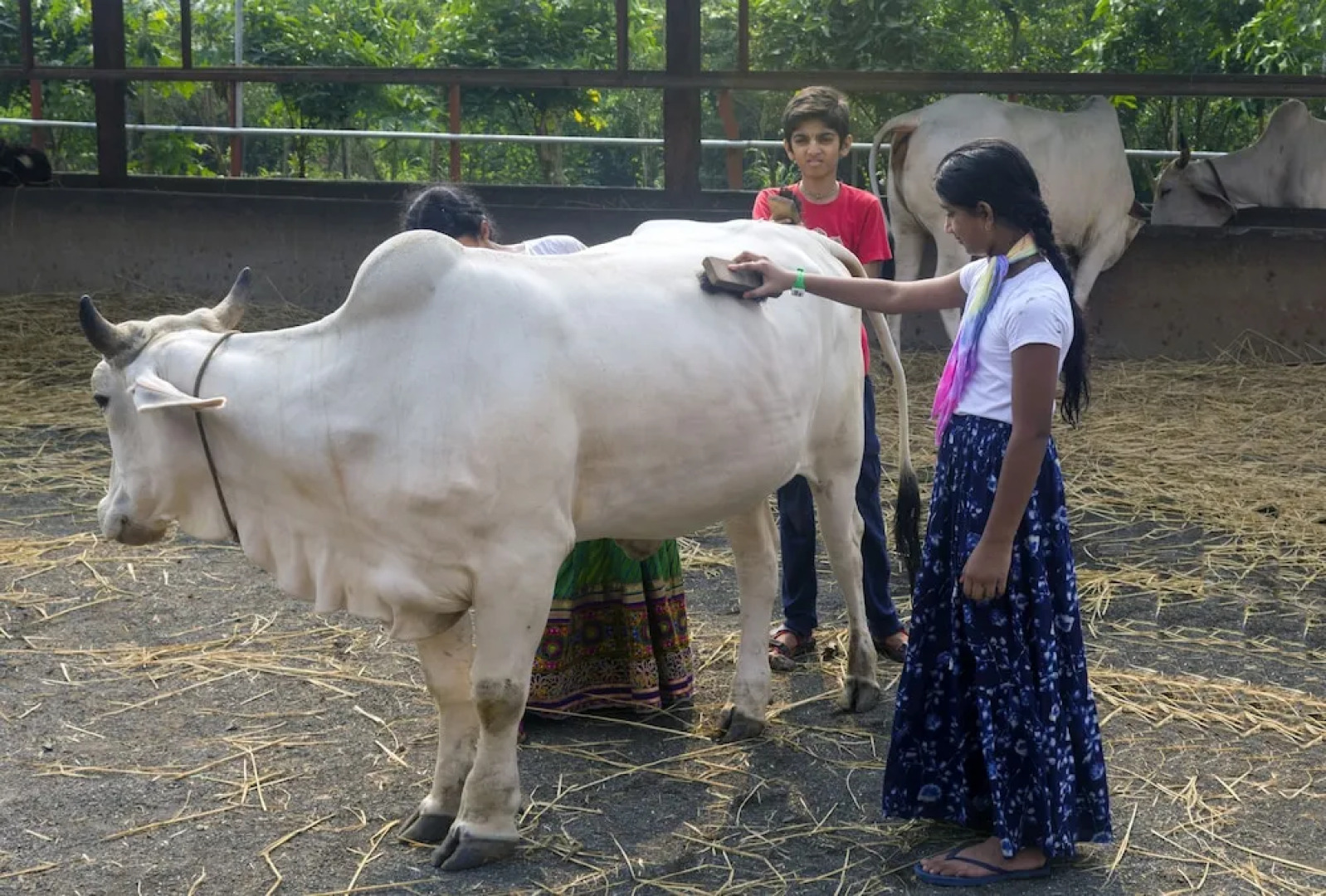 Govardhan Eco Village