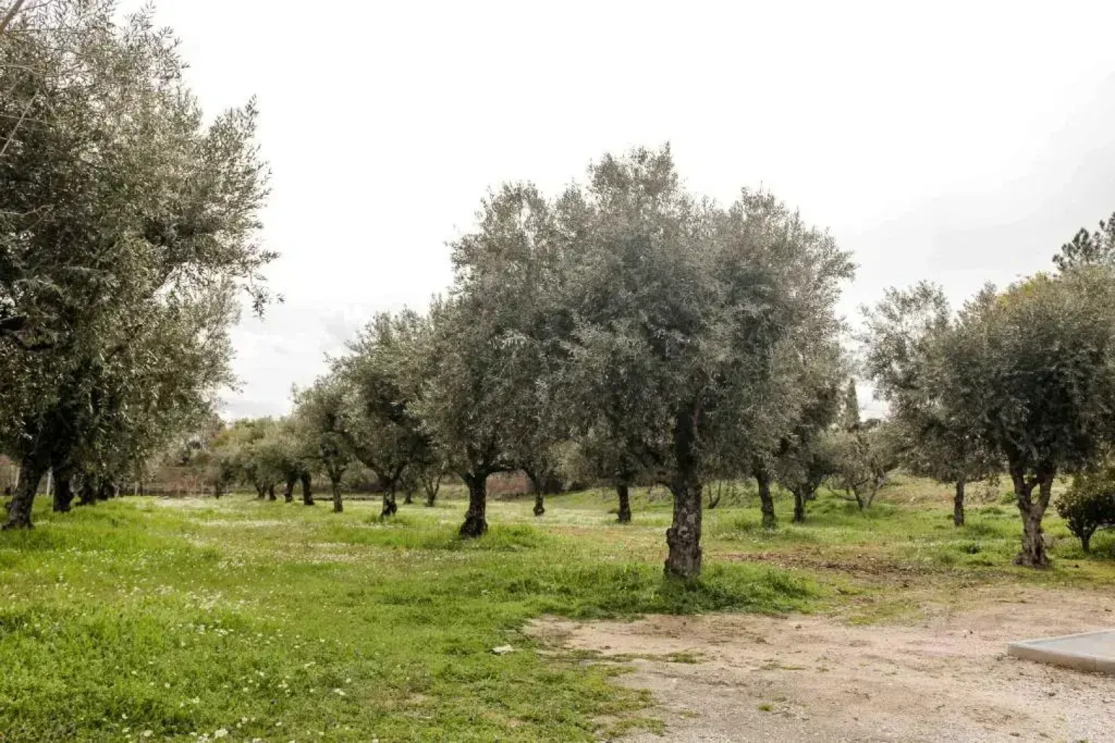 Quinta Chão do Nabal