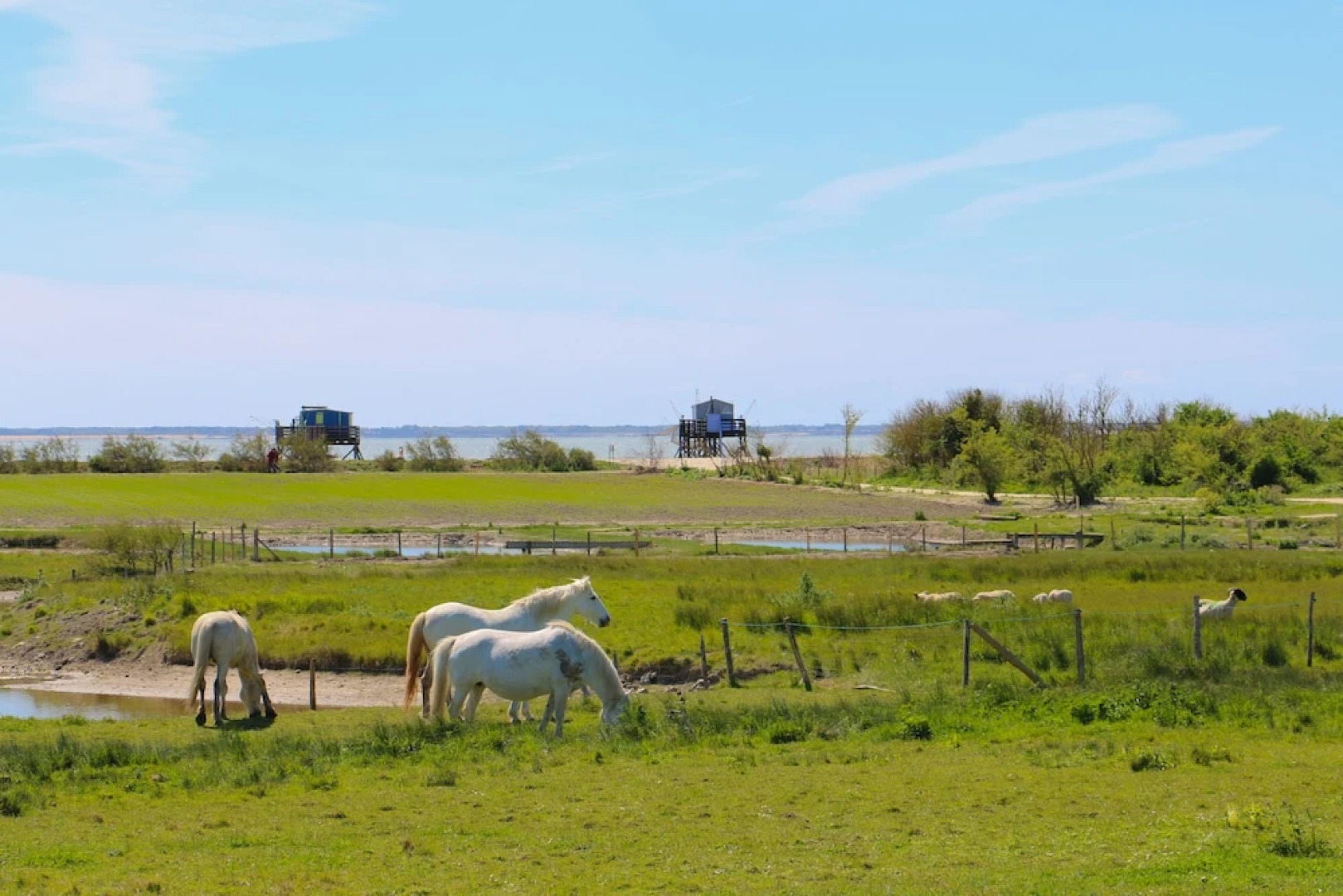 Yann locations meublées