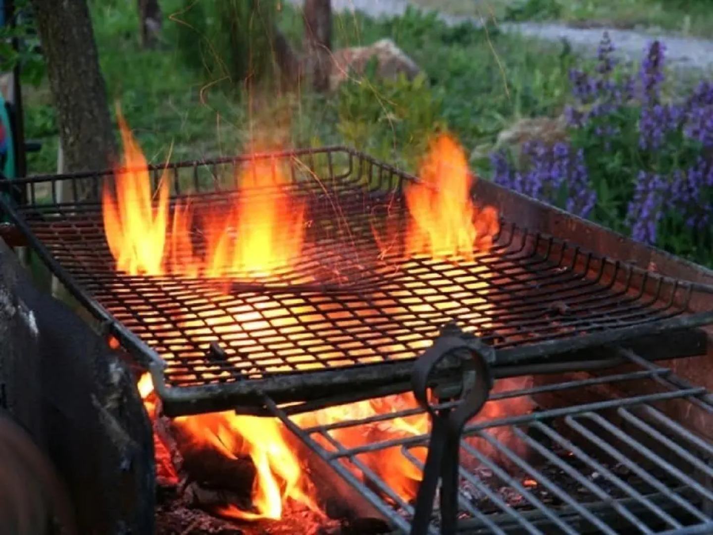 Agriturismo Il Forasacco