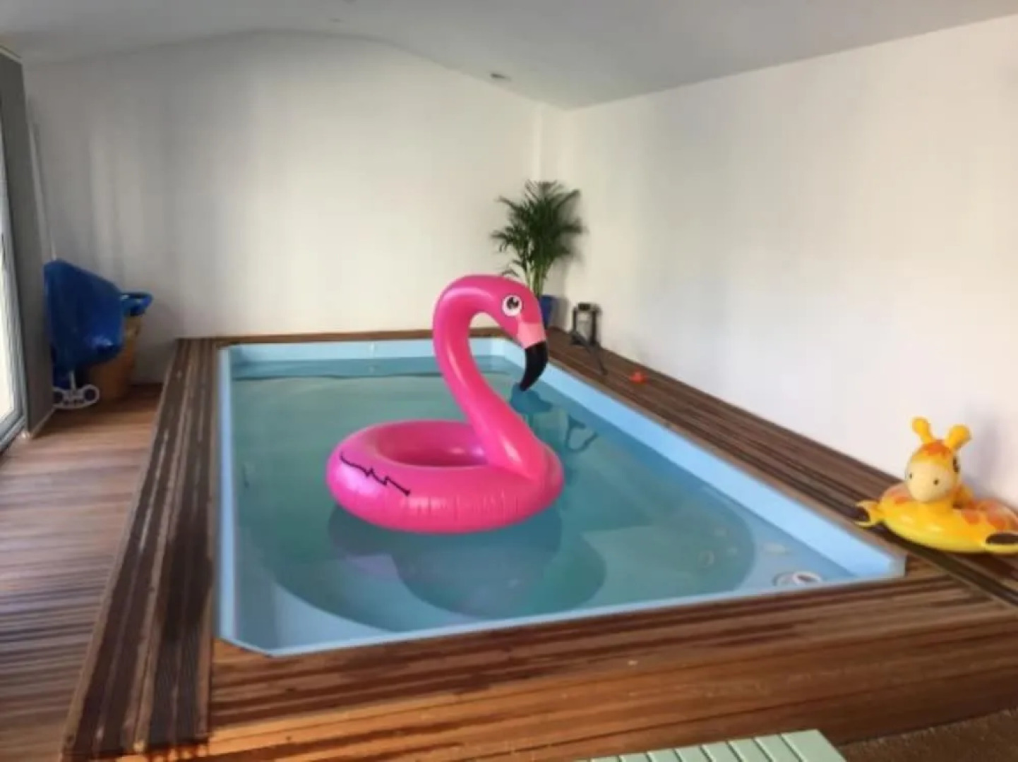 La Maison du Chat Roi. Chambre D'Hote