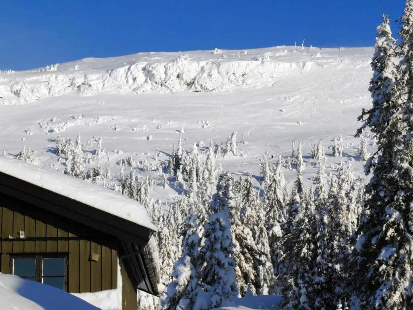 Skeikampen Appartement