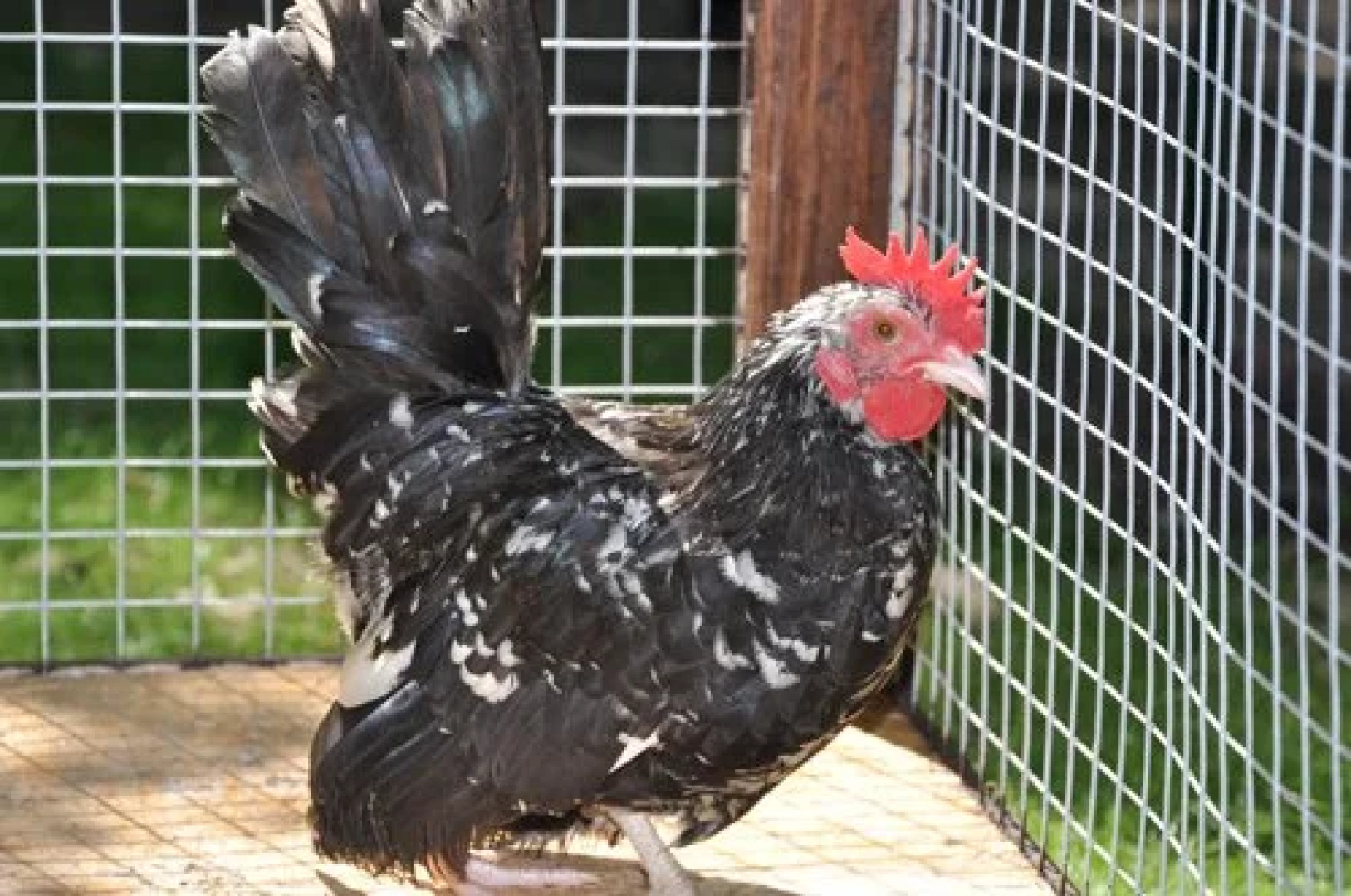 Boutique Otel SPA-Center restaurant Spa