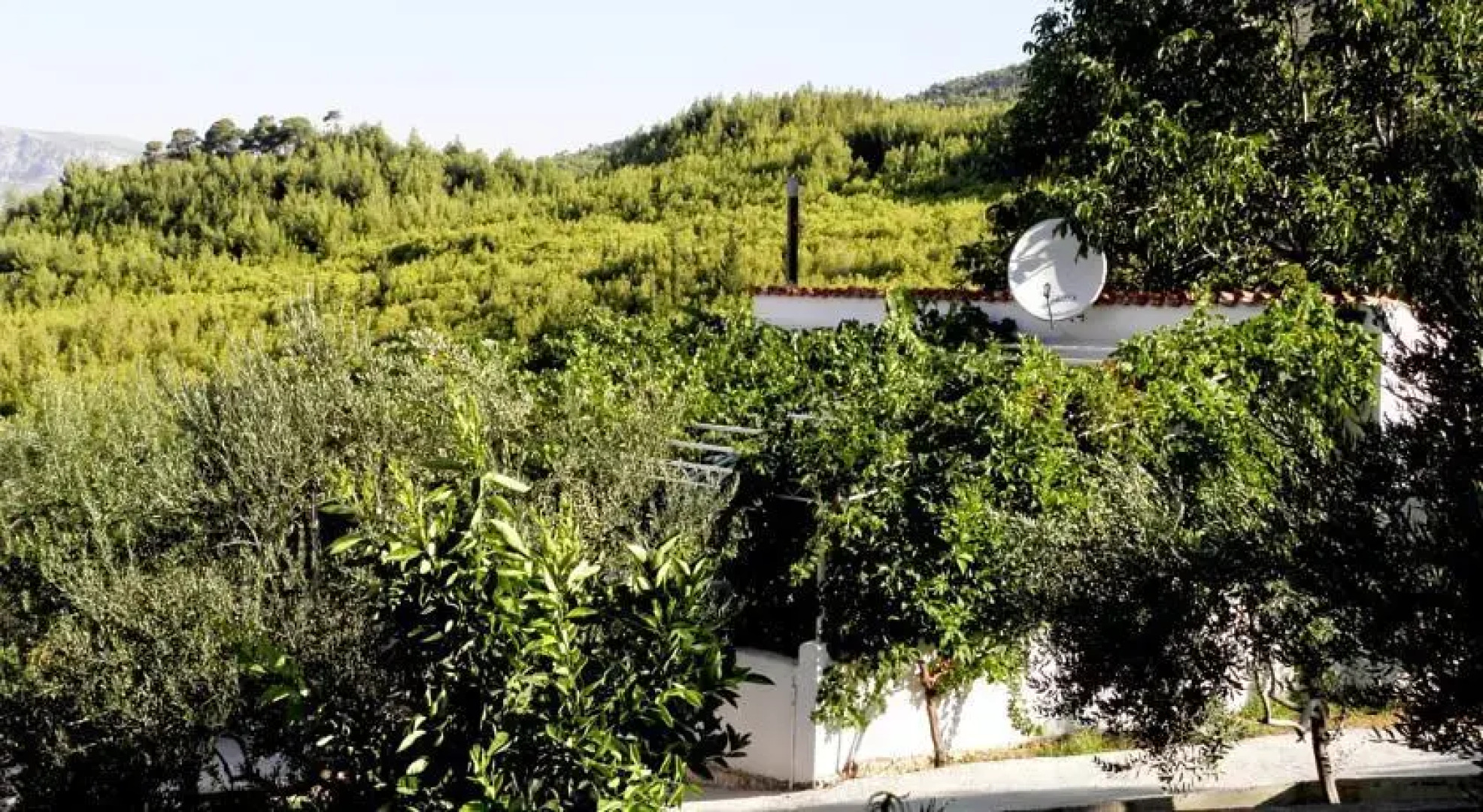 Podstrana House with garden