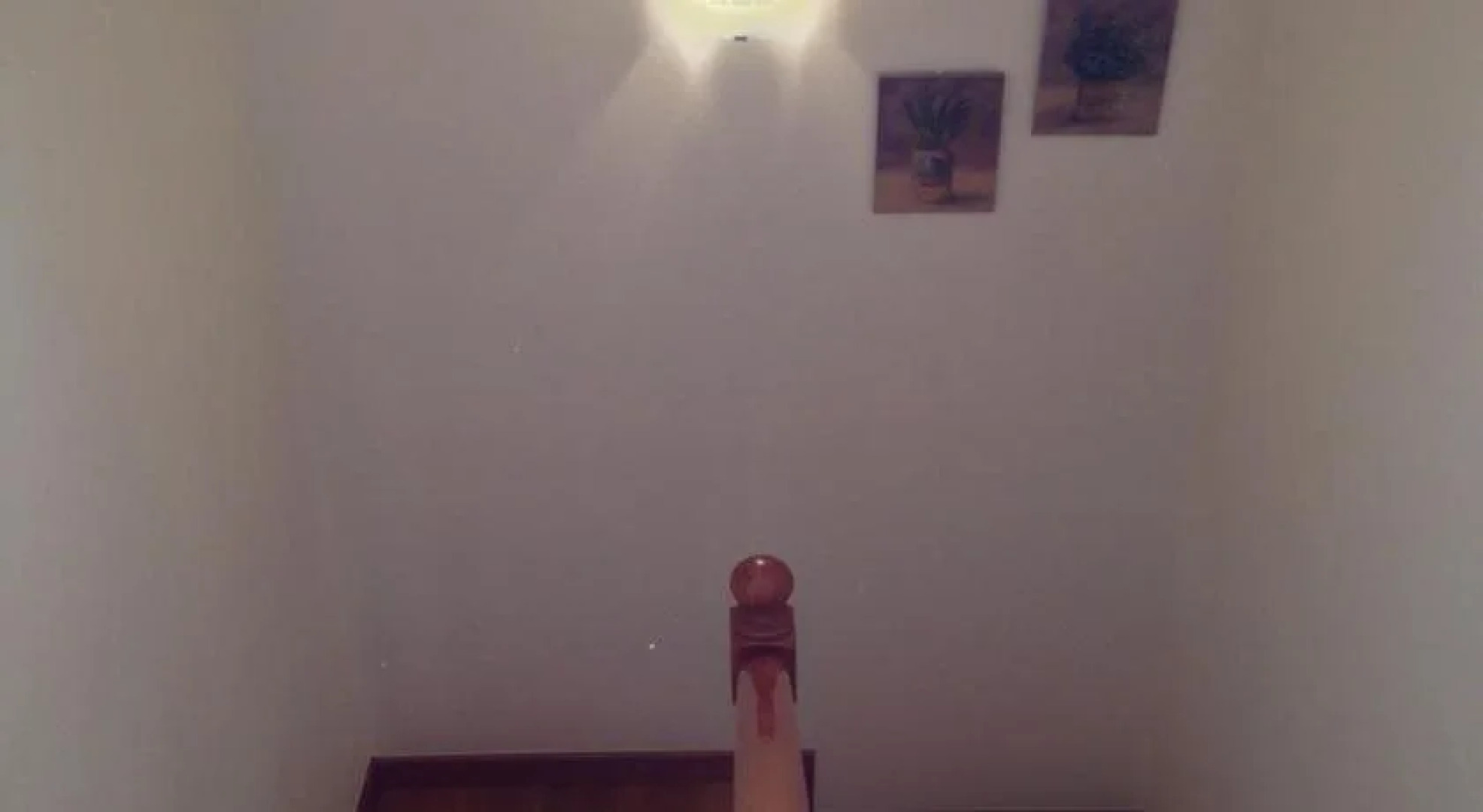 Mirador Ria de Bayona