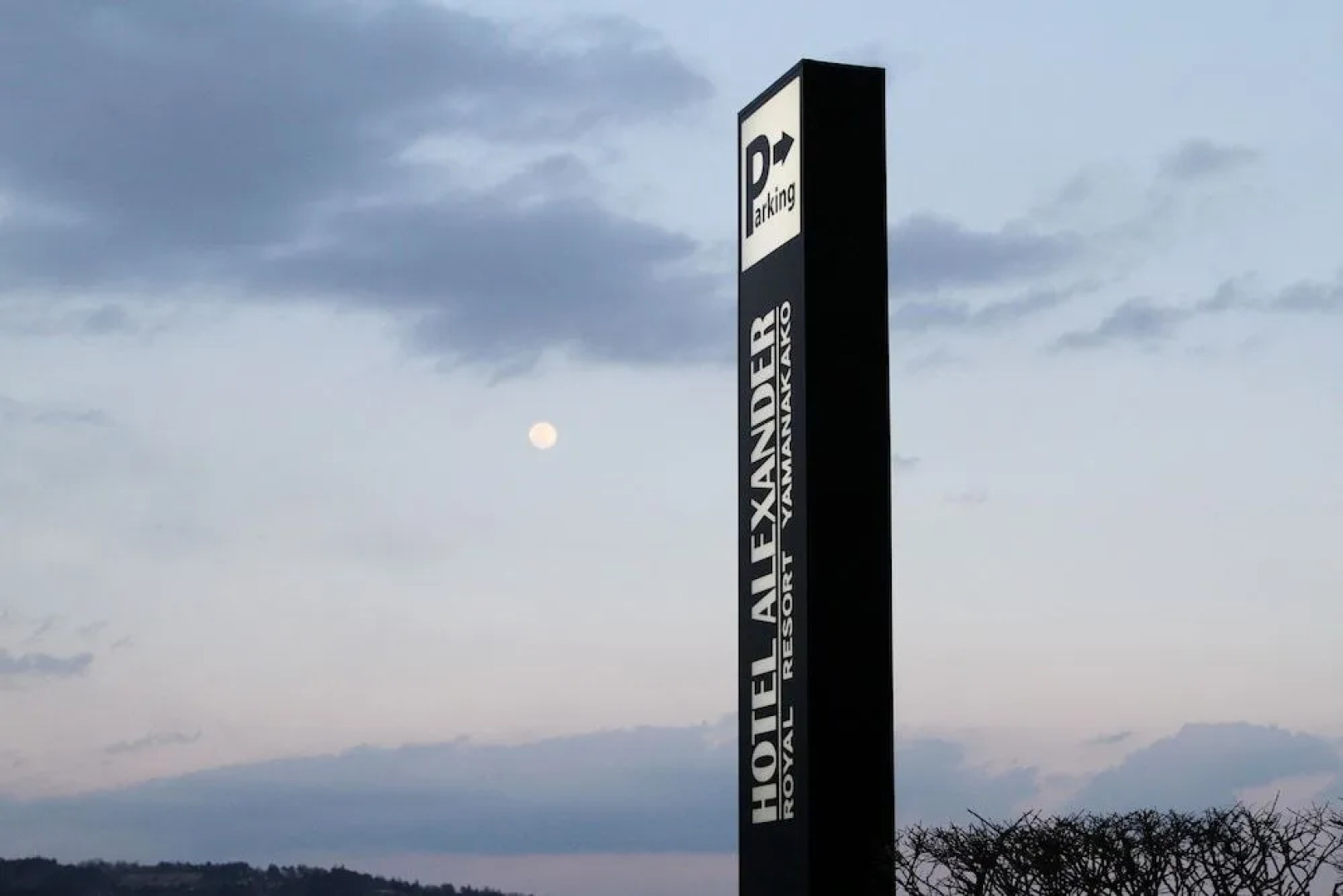 Hotel Alexander Royal Resort Yamanakako