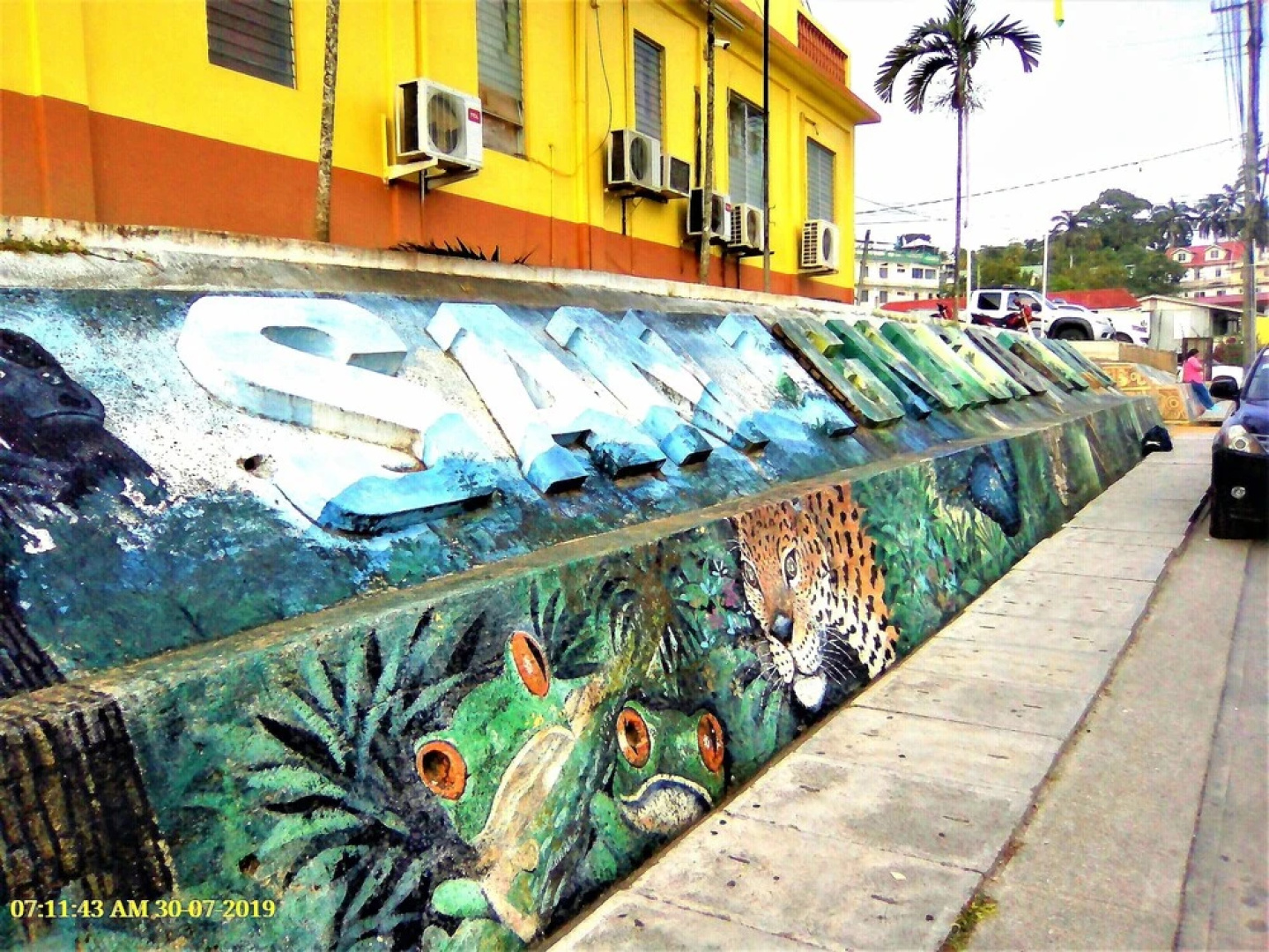Iguana Roost for Explorers, Families or Travelers Welcome to The Tropical Acre