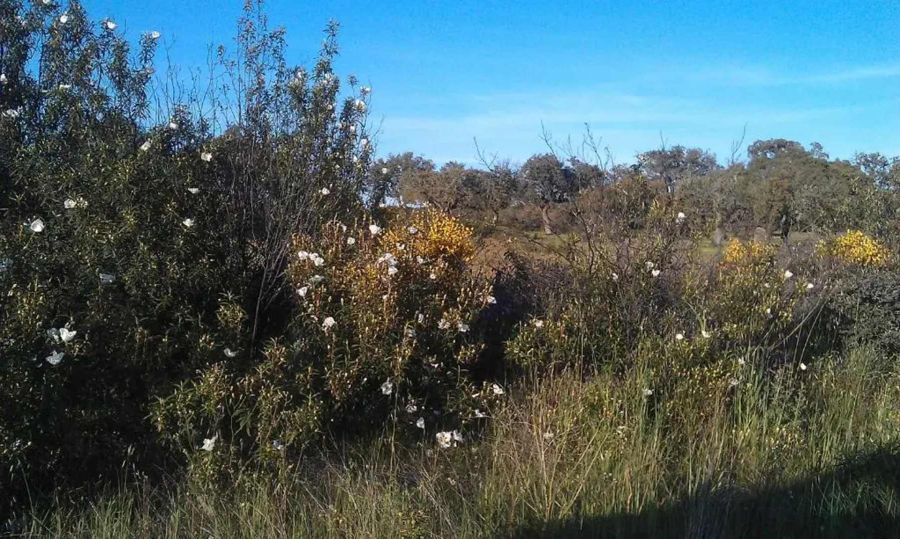 Apartamento Rincón del Salvador 2