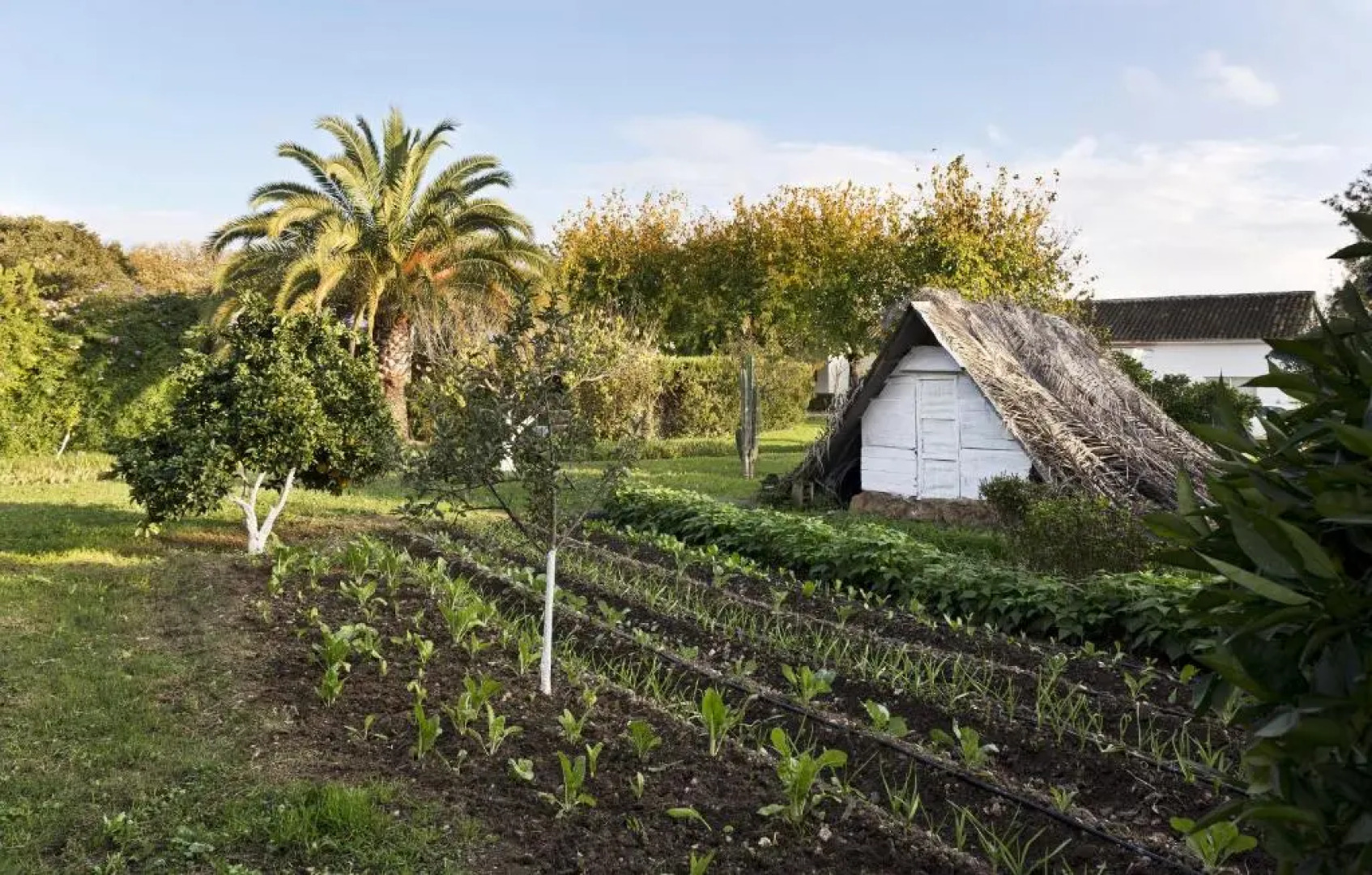 Alojamientos Rurales Cuevas del Pino