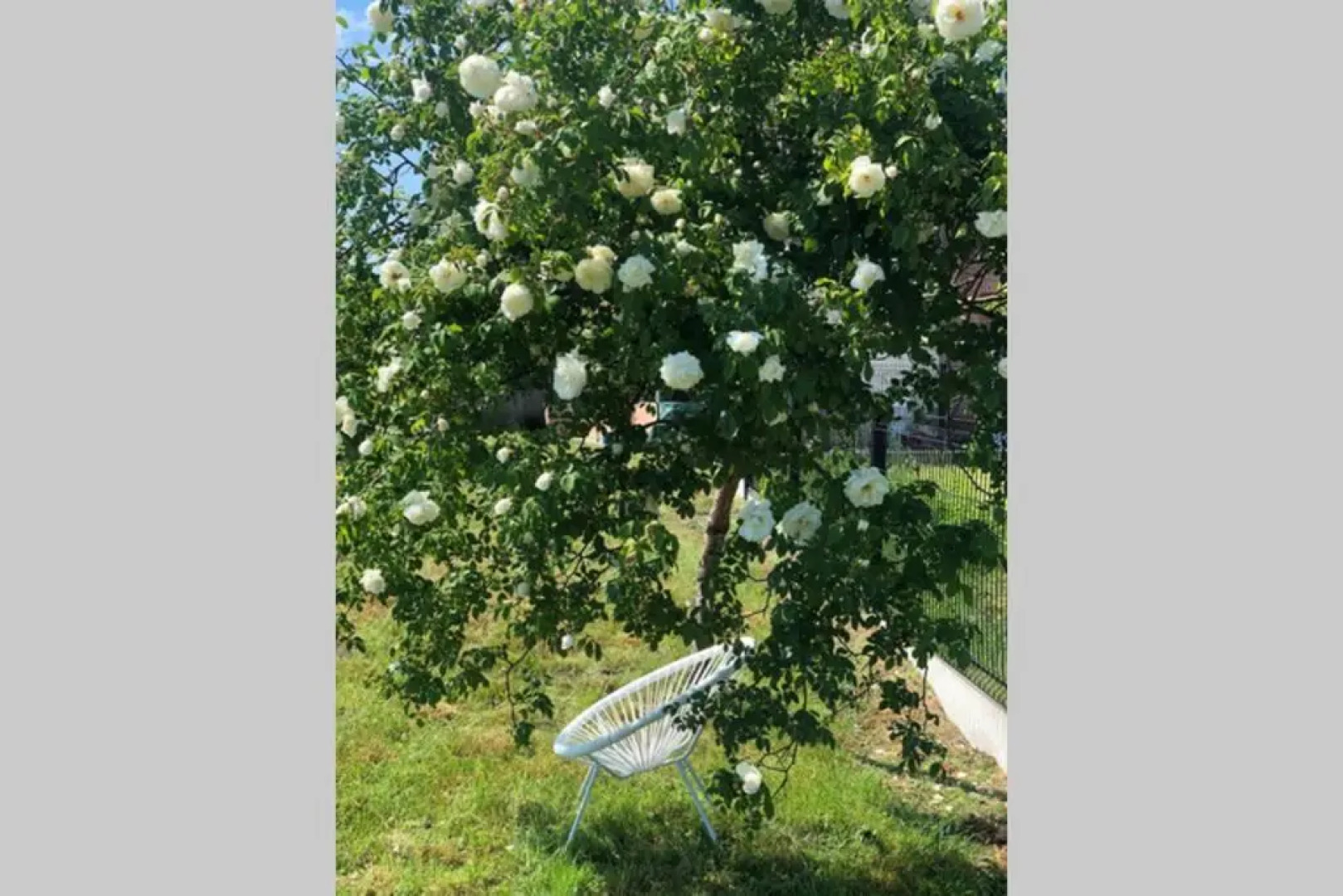 Cottage l'Echappée Belle