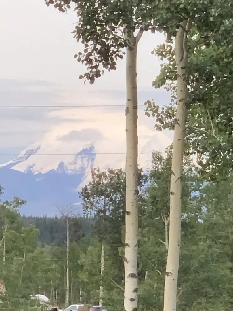 Sawinglogzz Log Cabin