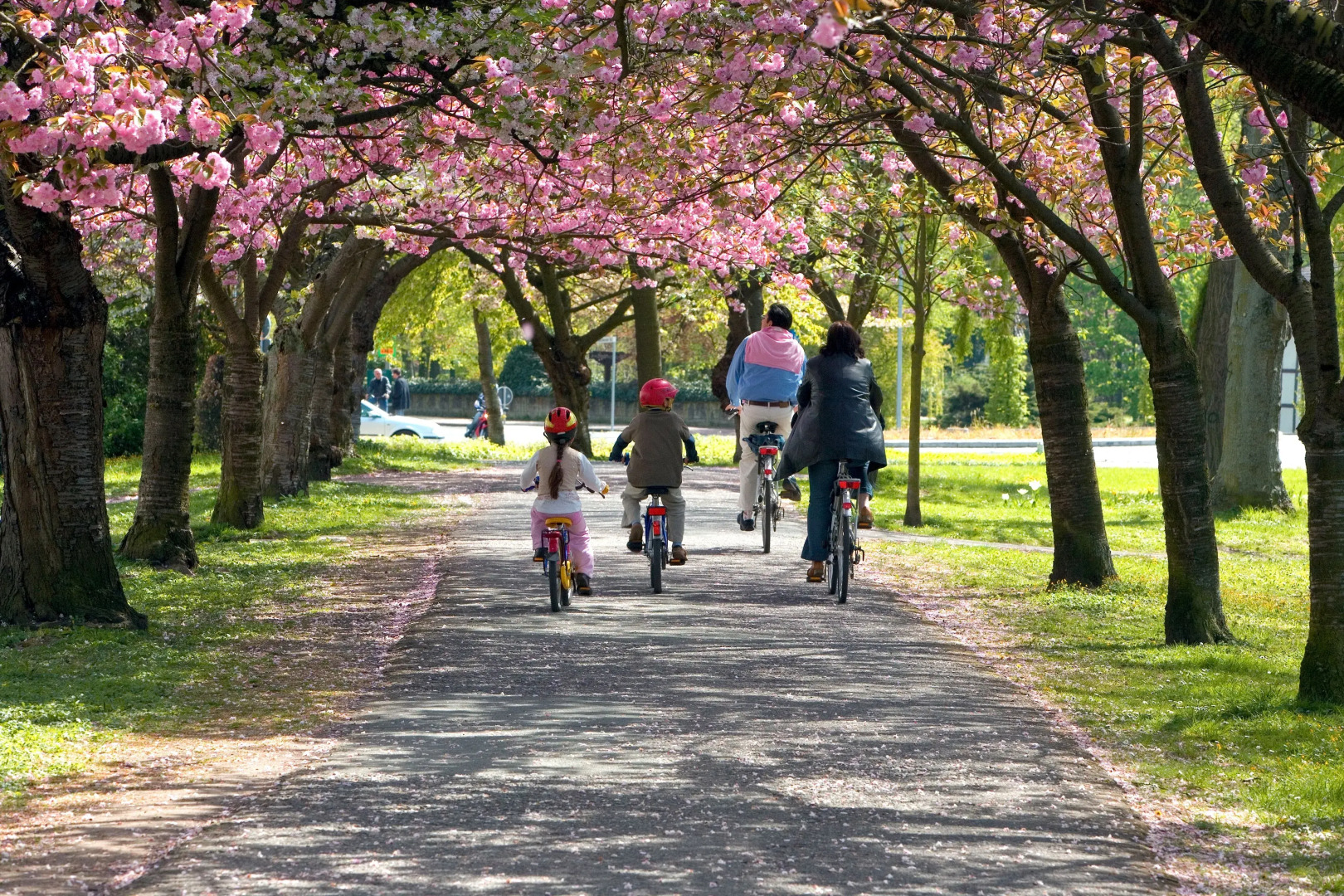 Boutique Suites and Residences Heidelberg – Alte Zigarrenmanufaktur