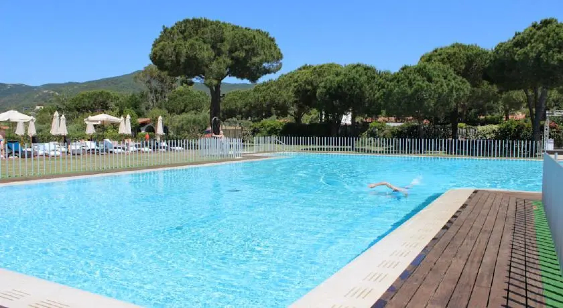 Camping Lacona Pineta