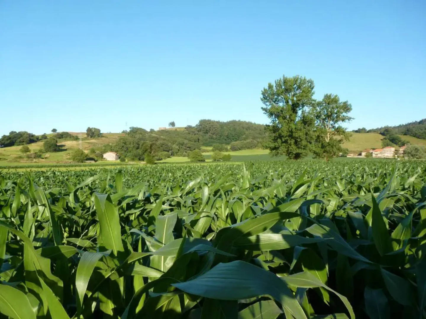 Palacio De Arredondo