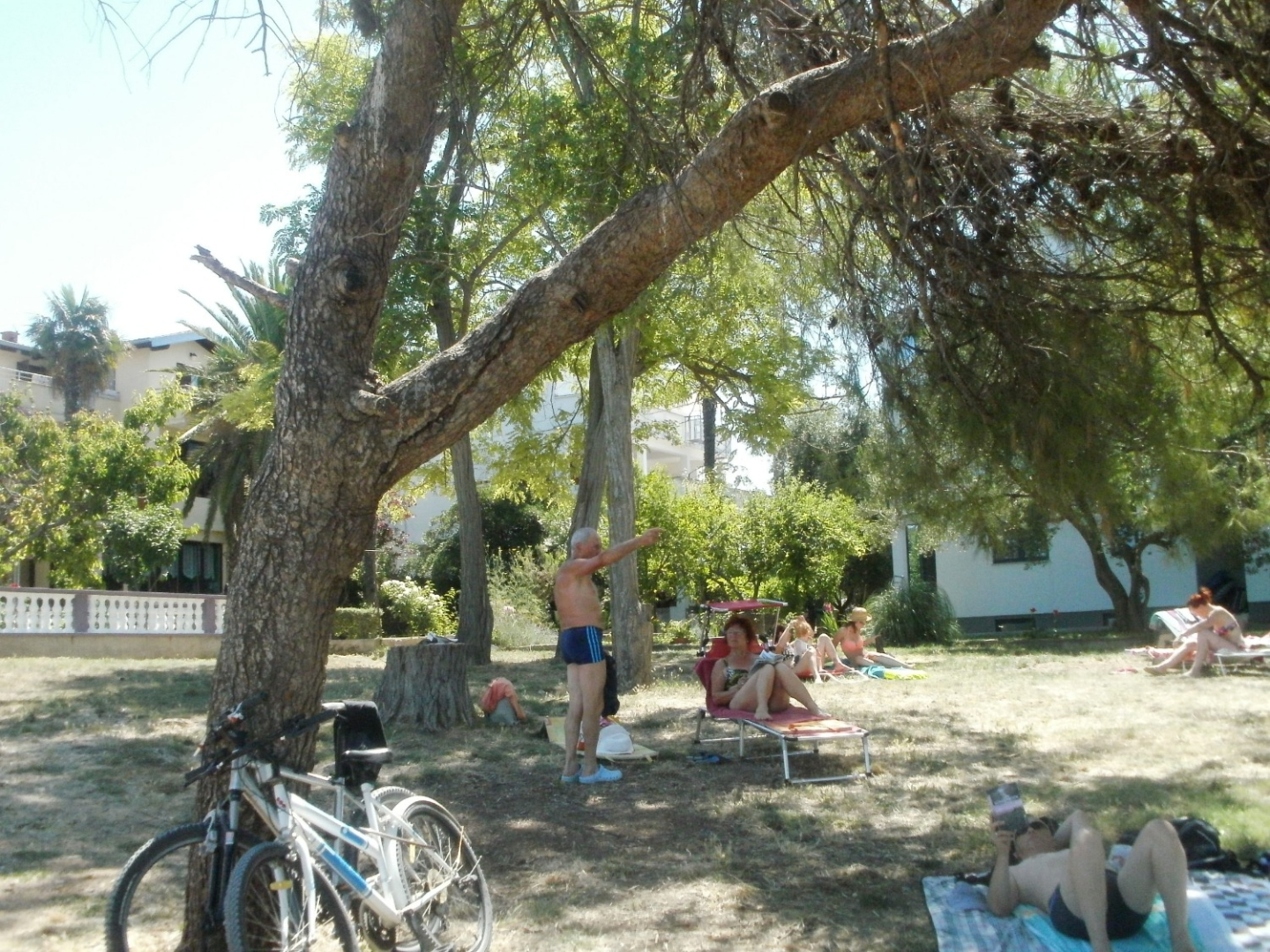 Room Aleksandra - 10 m from sea: R7 Bibinje, Zadar riviera