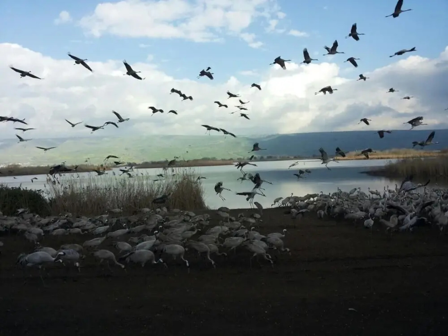 אצלנו - בגליל העליון
