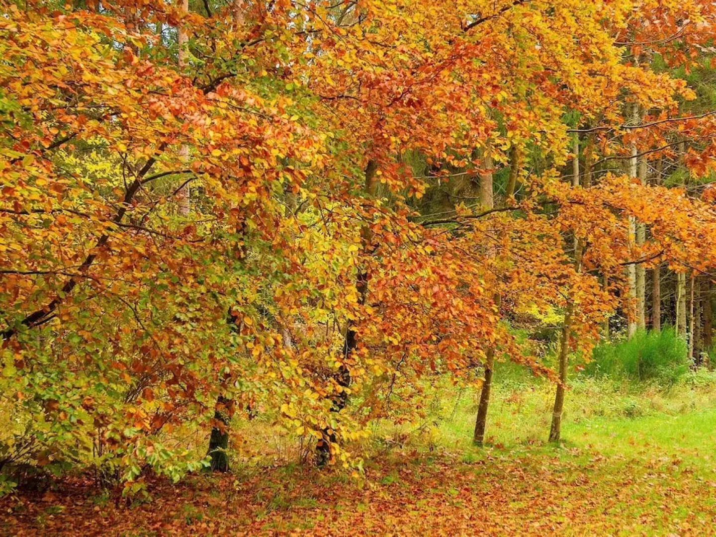 4 Person Holiday Home in Ans By-by Traum