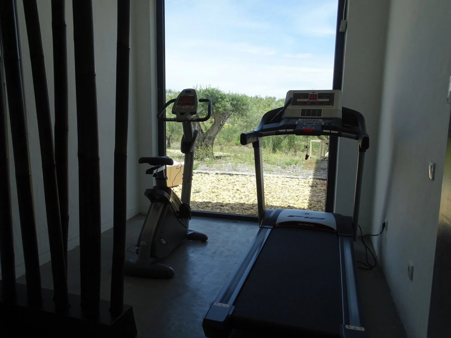 Monte da Estrela Country House & SPA