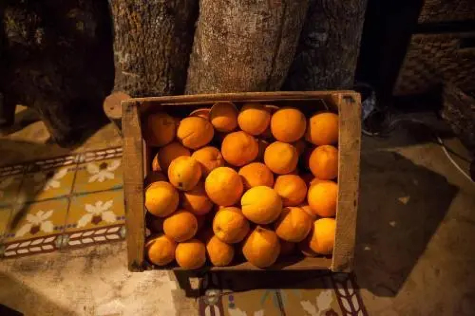 Casa Rural Orgullo Rural 4 estrellas